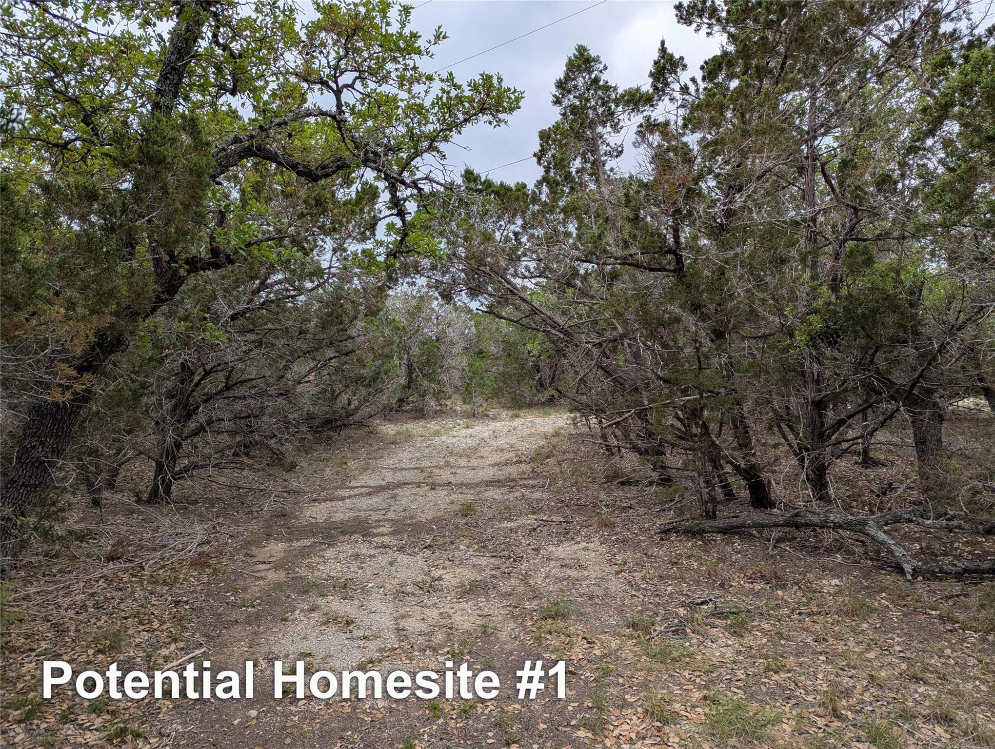 701 Plant Lady LN — photo 5