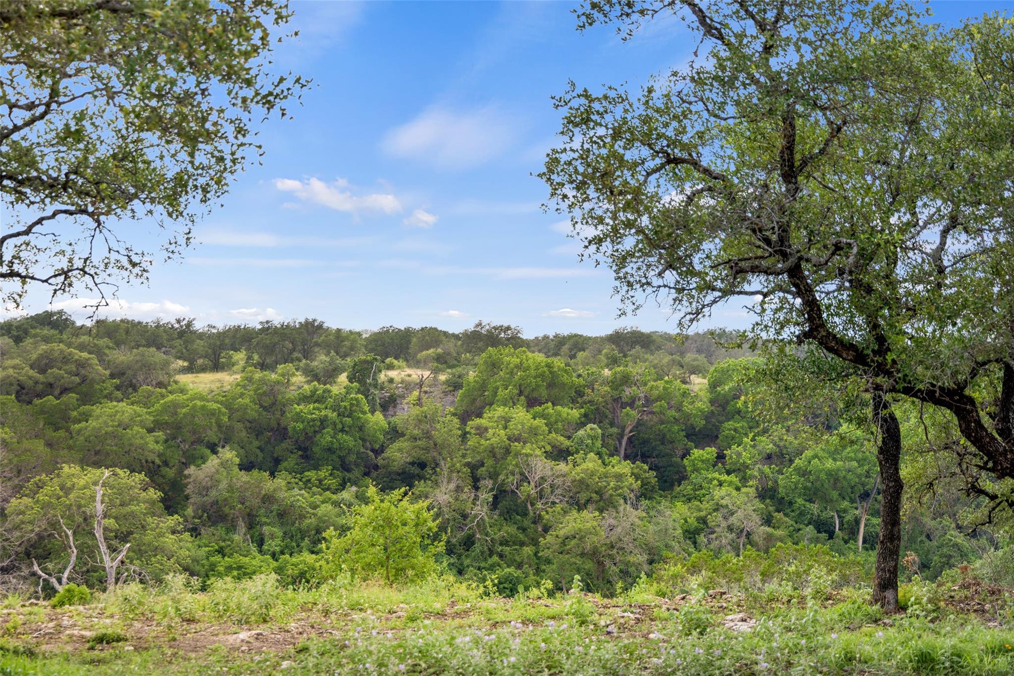 Lot 7 Pedernales Canyon TRL #Lot 7 — photo 3