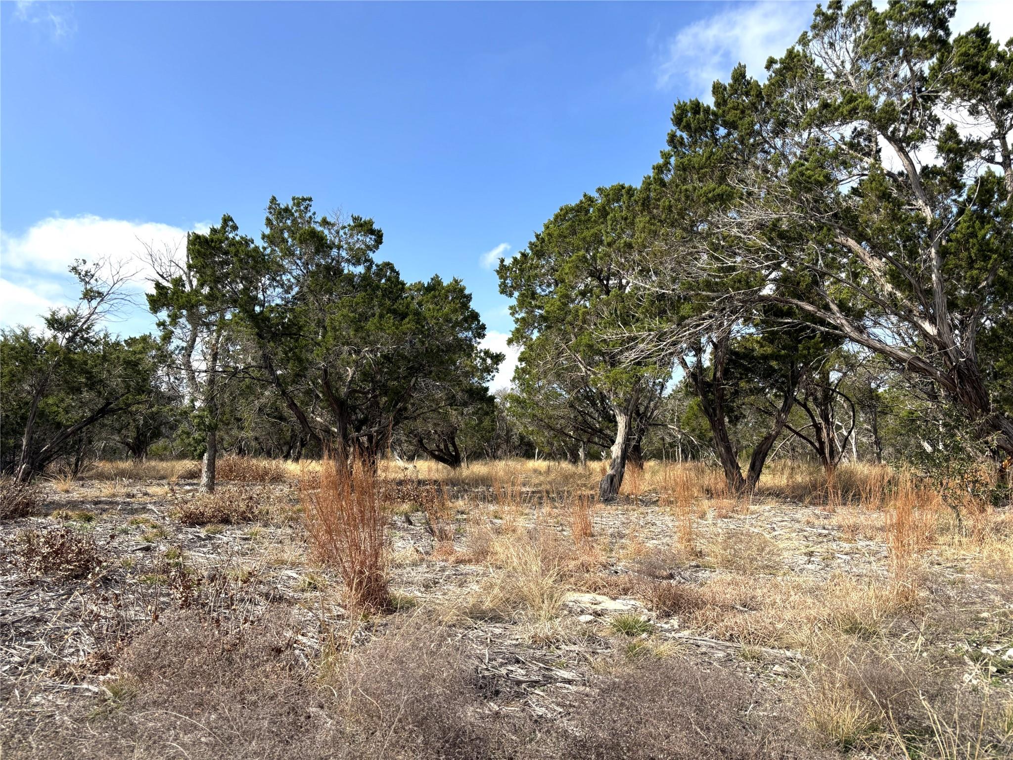 Tract 7 Burnet Oaks — photo 5