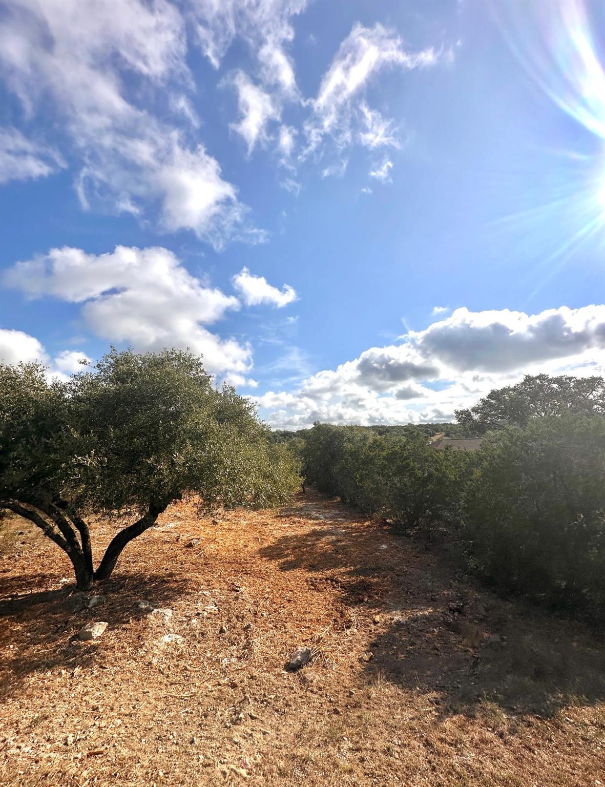 1447 Carson CRK — photo 4
