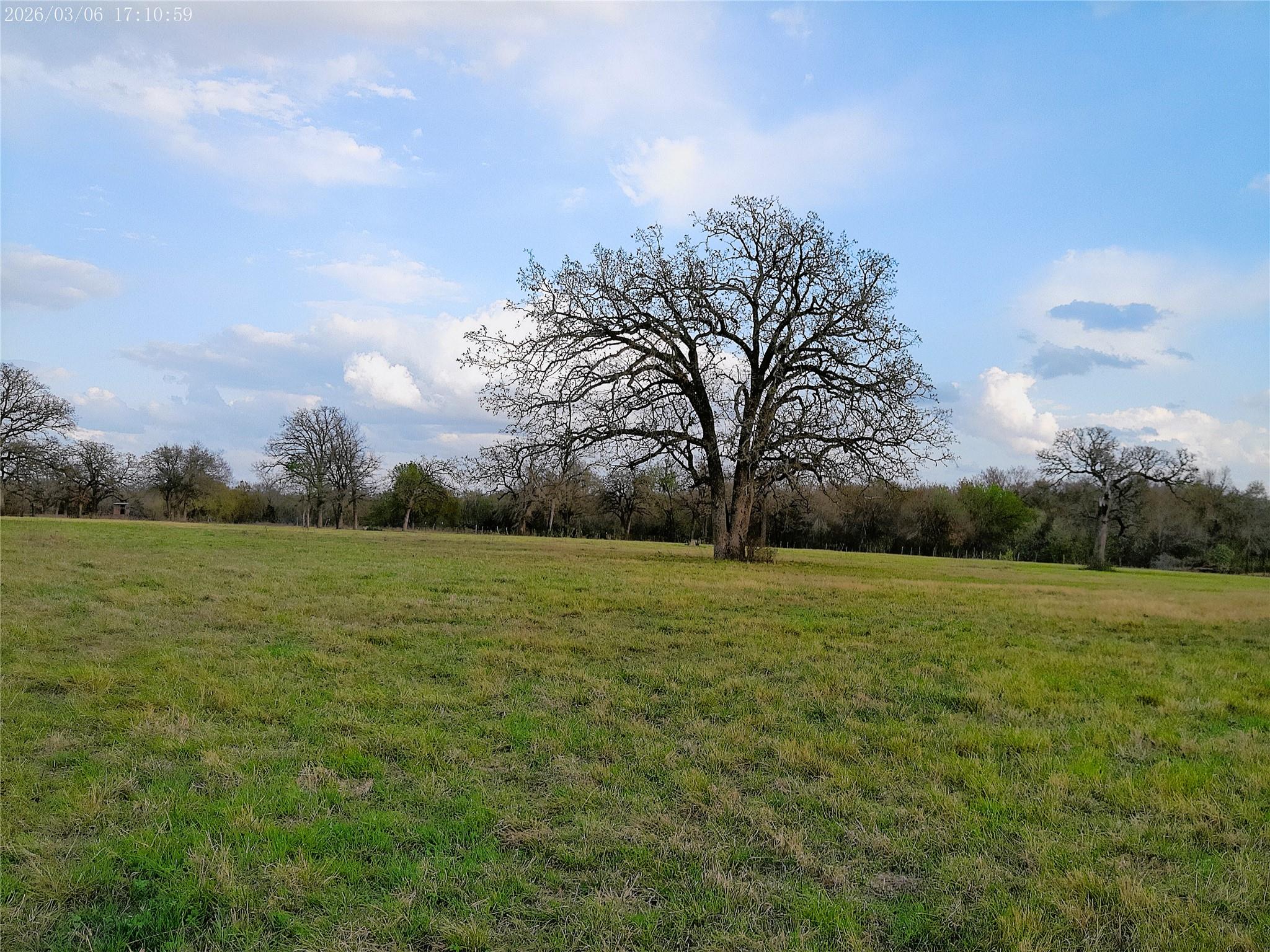 1042 Los Ranchitos RD — photo 3