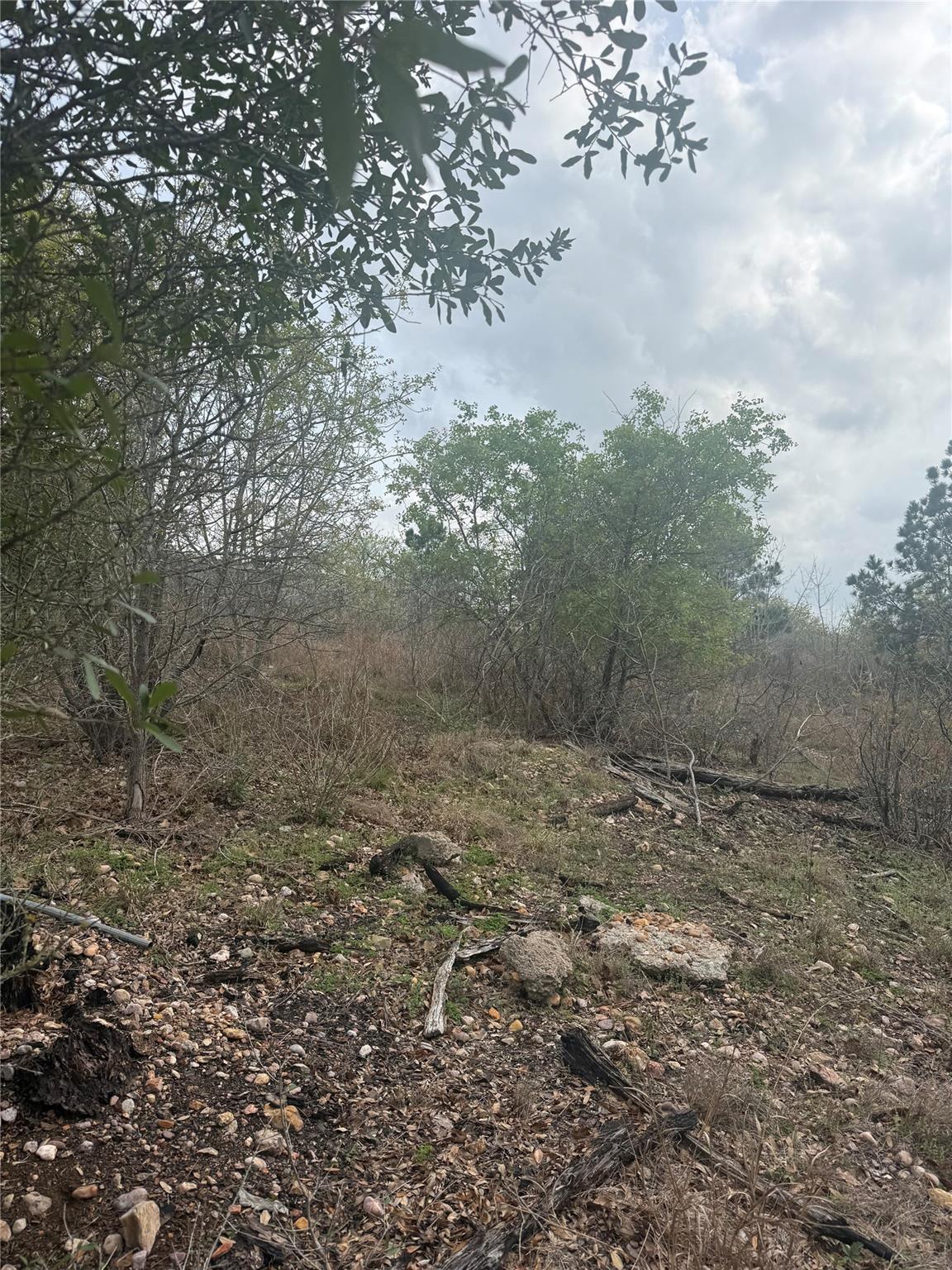 TBD Mauna Kea LN — photo 4