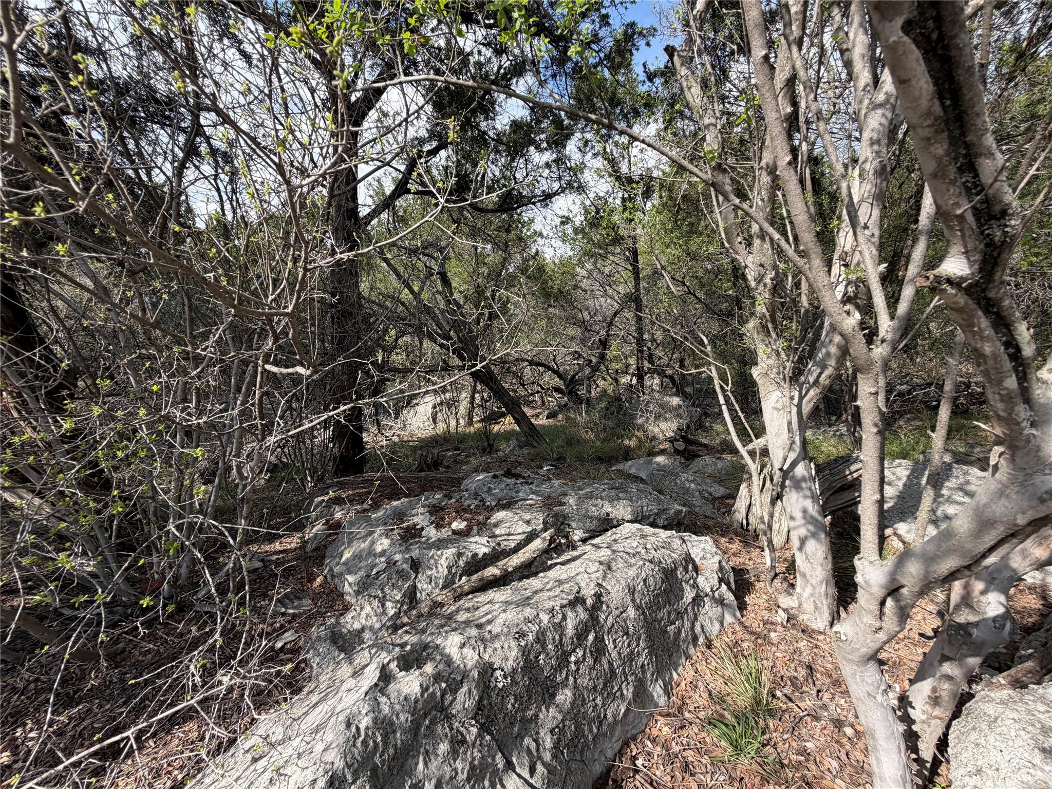 000 Saddle Back LOT K15031 — photo 3