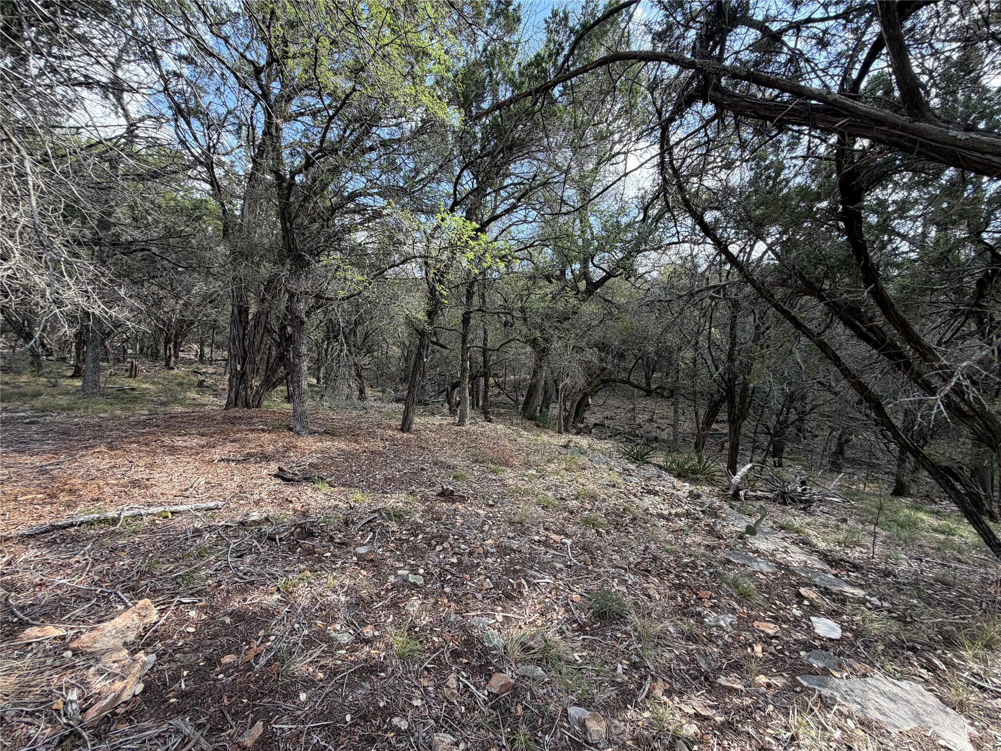 000 Saddle Back LOT K15031 — photo 4