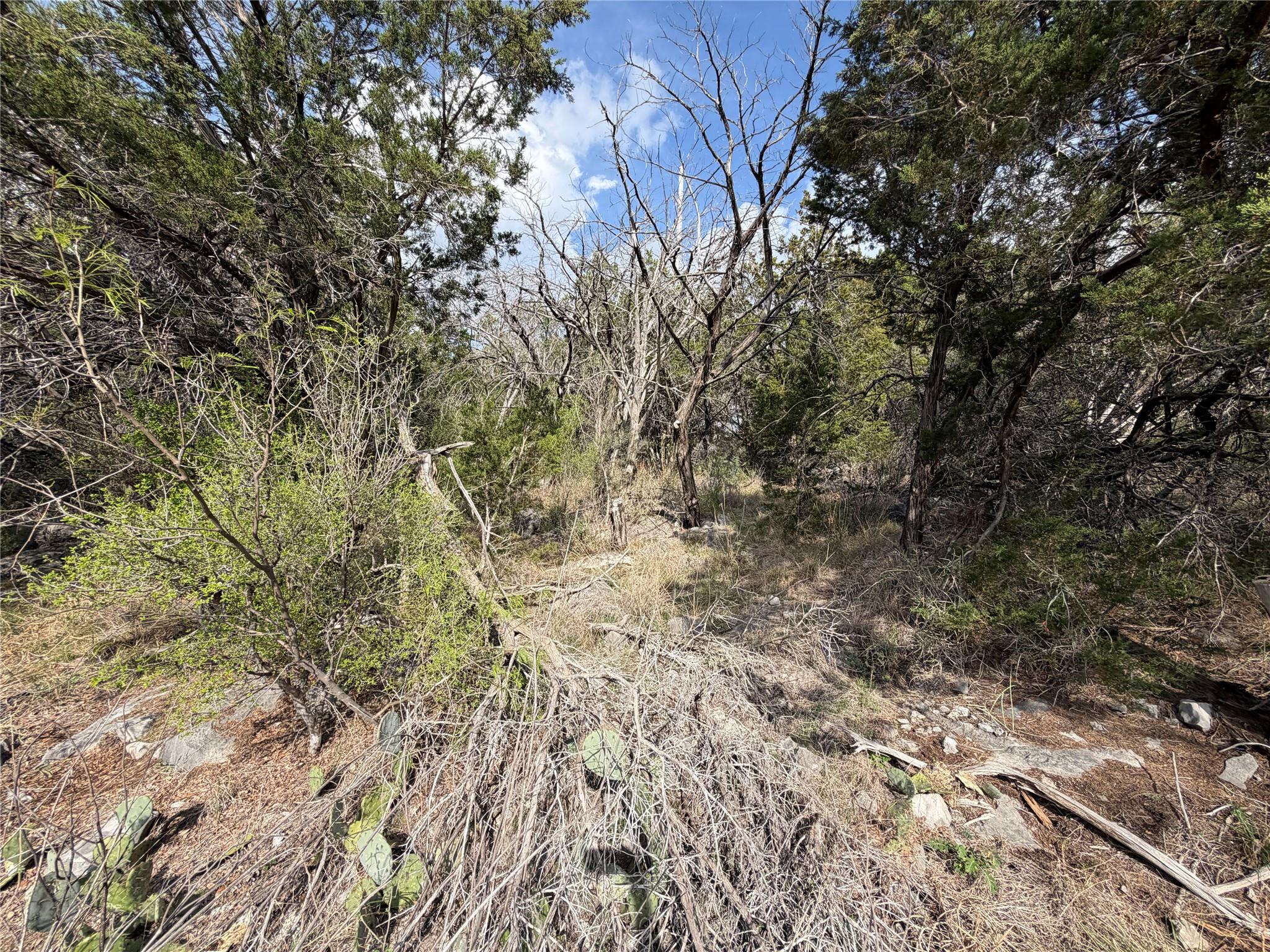 000 Saddle Back LOT K15032 — photo 4