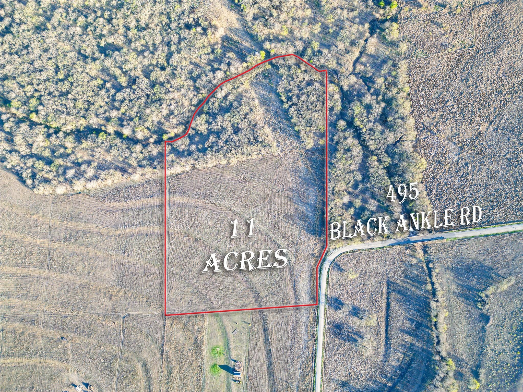 495 Black Ankle RD — photo 4