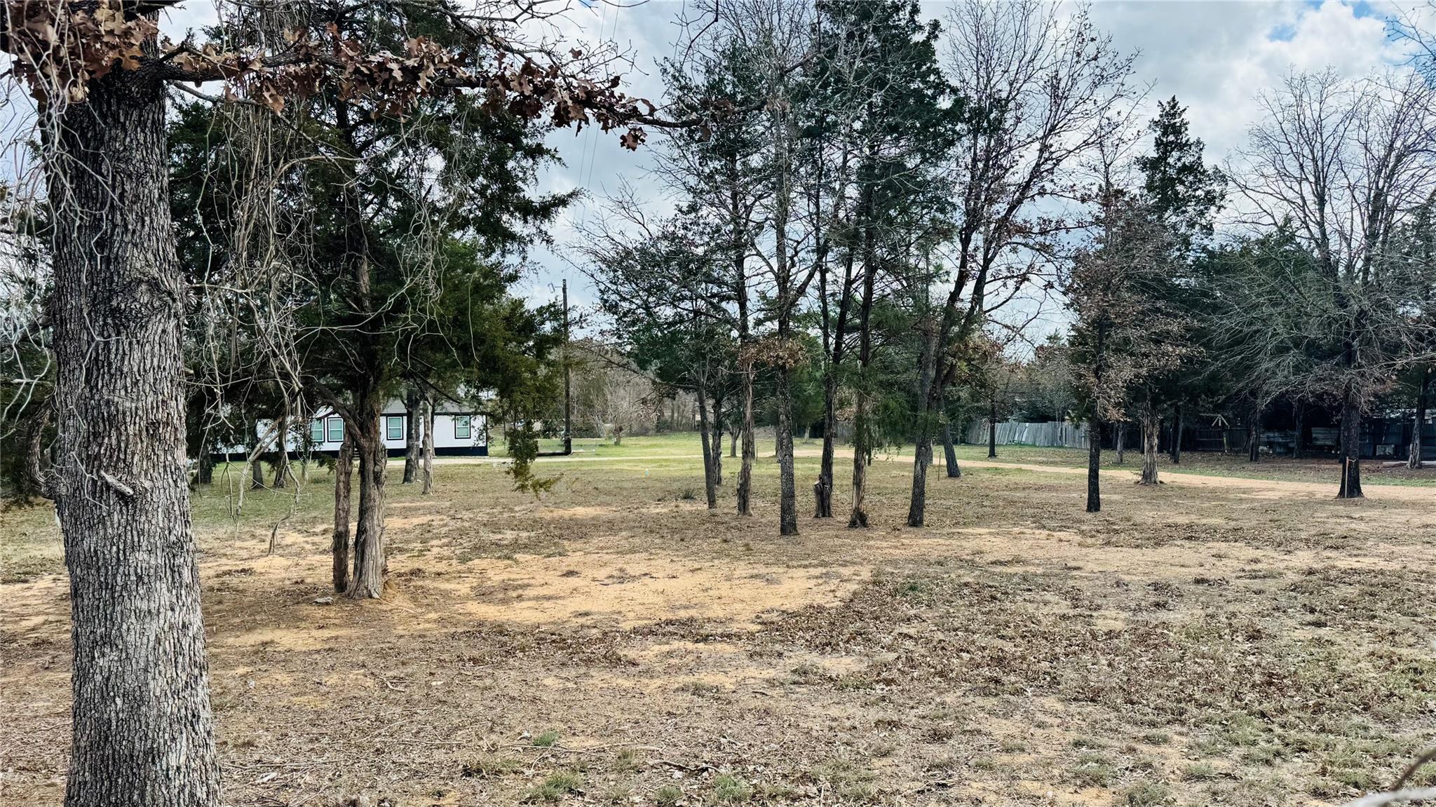 557 FM 2336 — photo 4