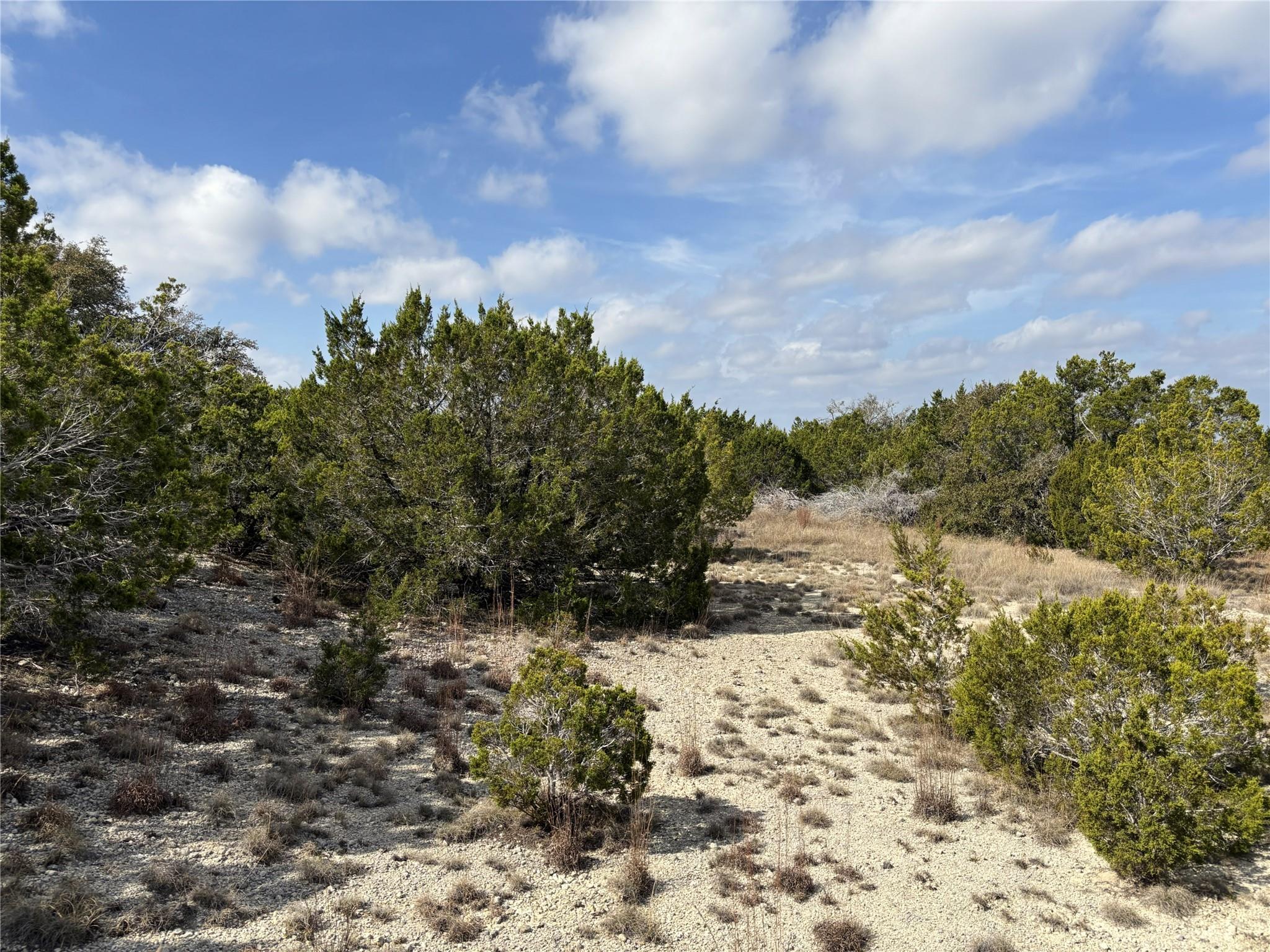 Tract 9 Burnet Oaks DR — photo 4