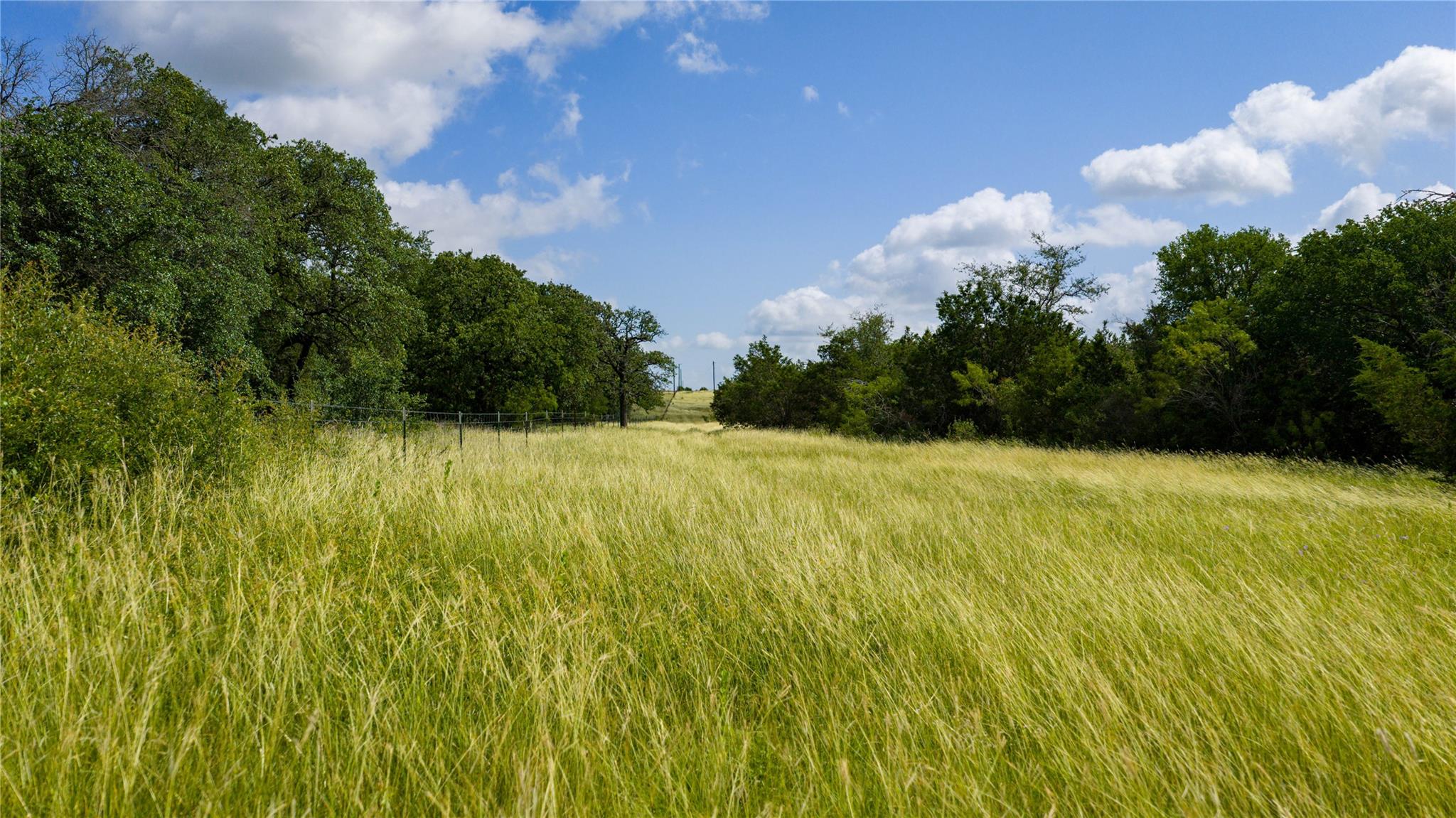 000 County Road 180 RD — photo 4