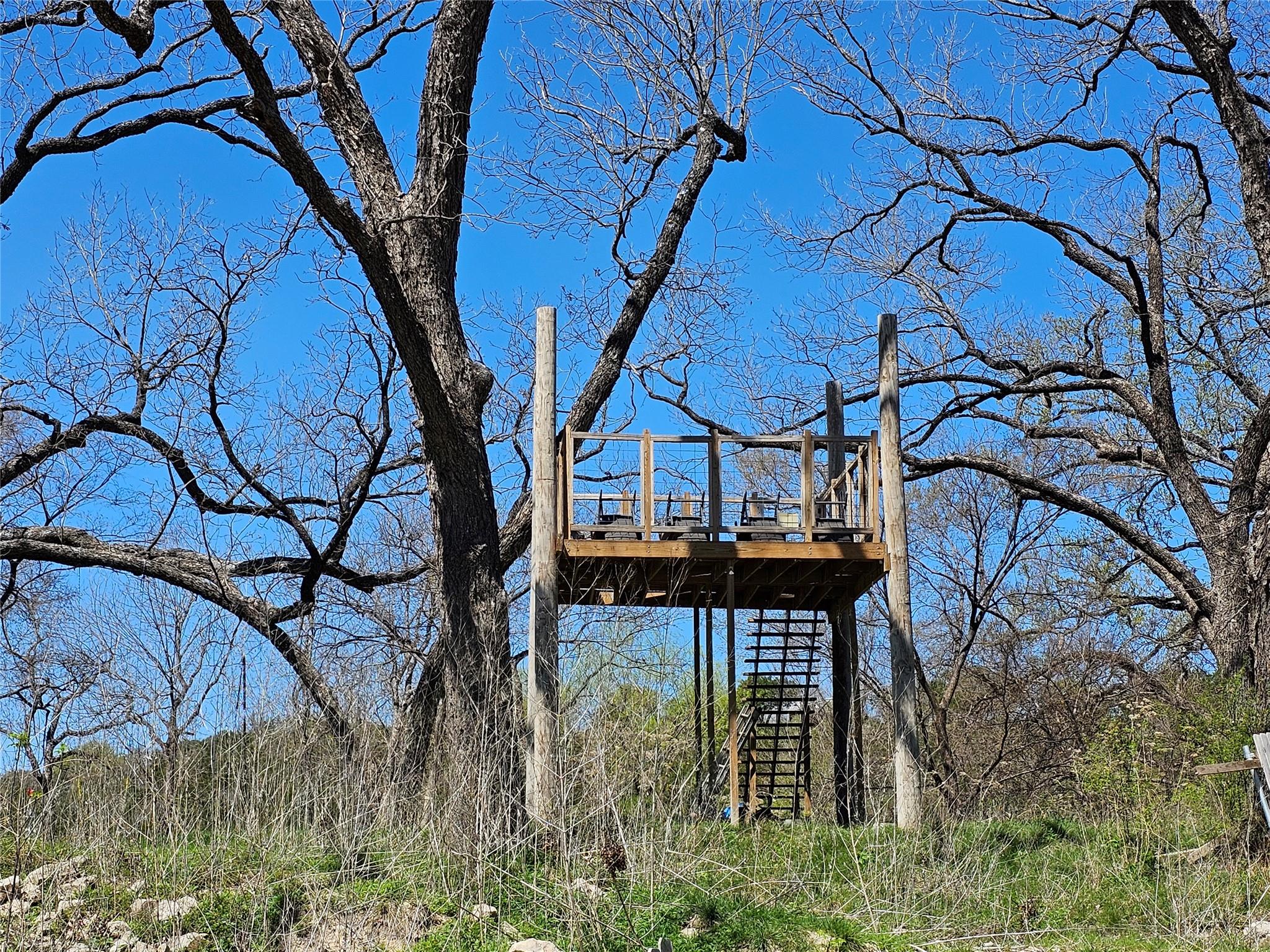 0 Cattle TRL — photo 5