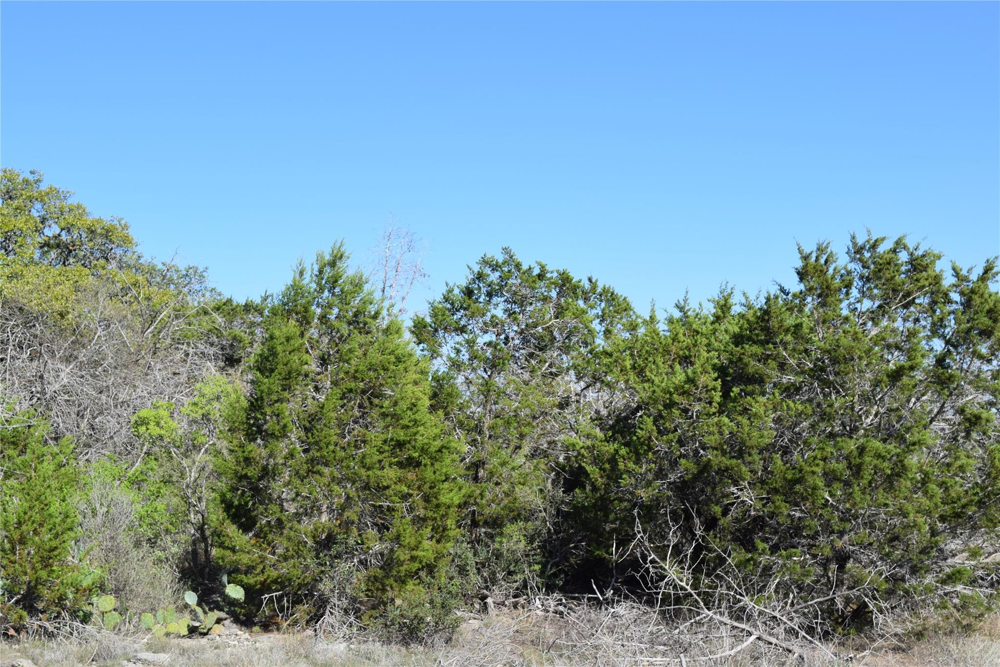 TBD Cheyenne TRL — photo 3