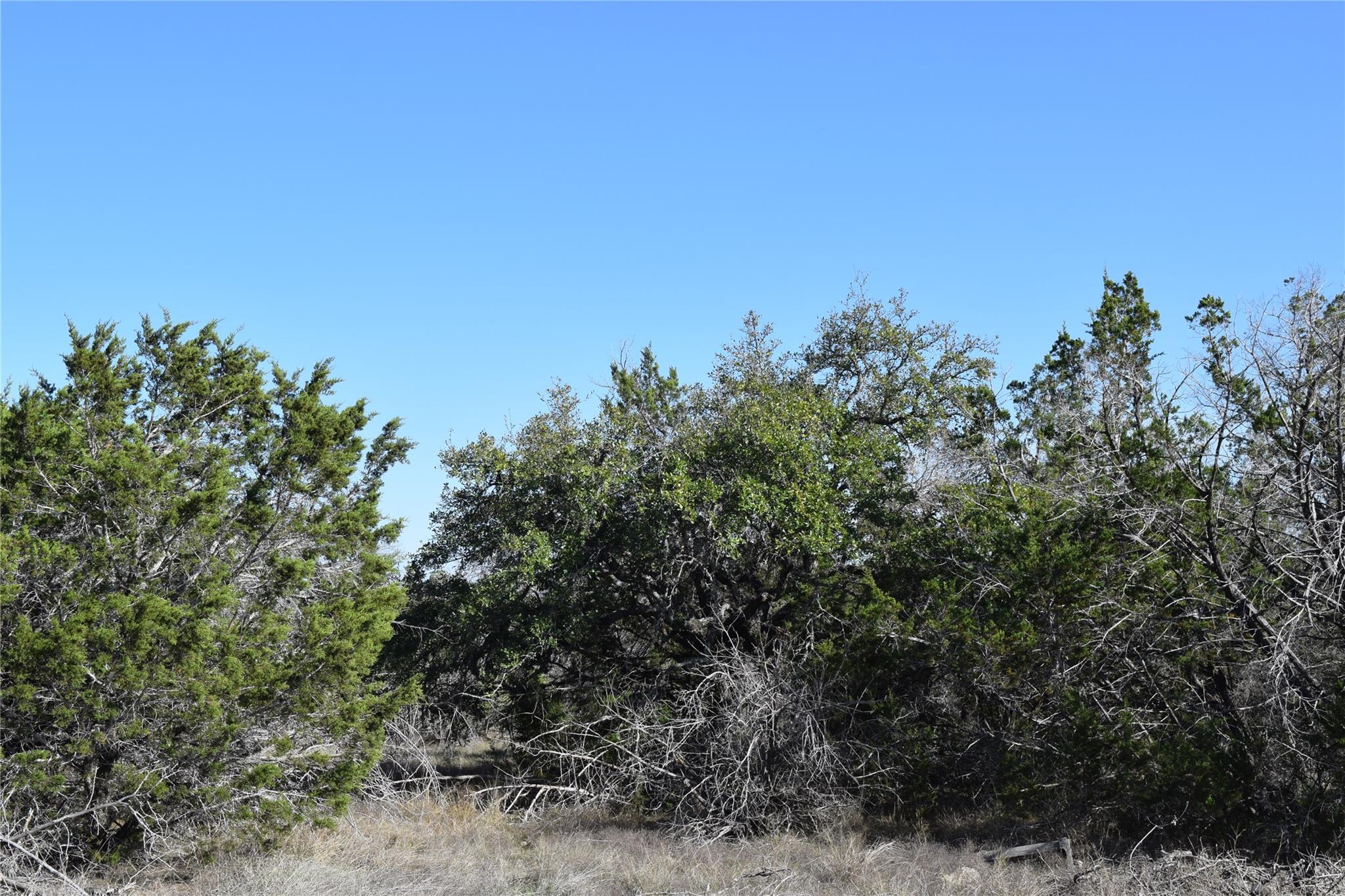 TBD Cheyenne TRL