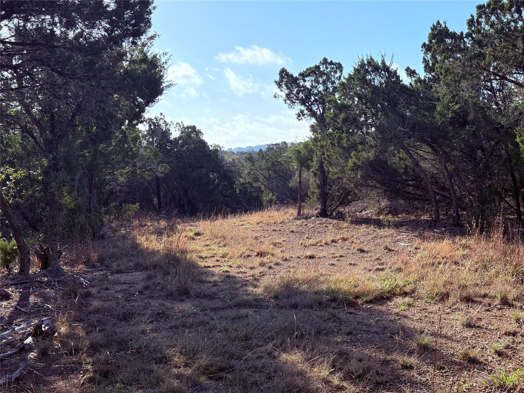 3600 Stagecoach Ranch LOOP — photo 4