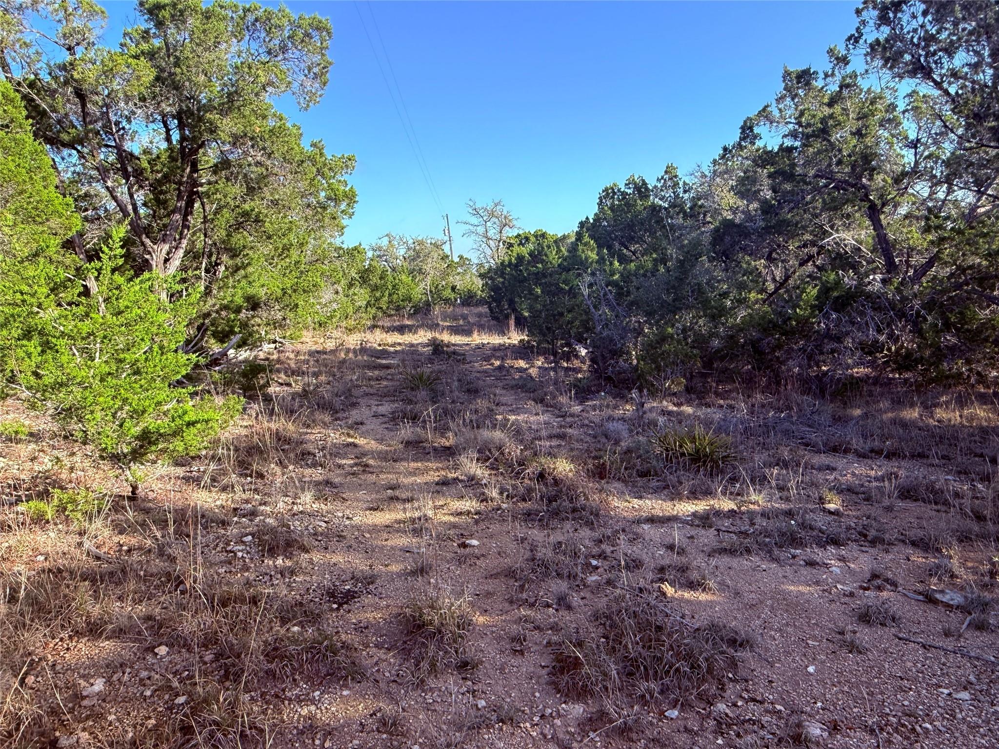 3600 Stagecoach Ranch LOOP — photo 5