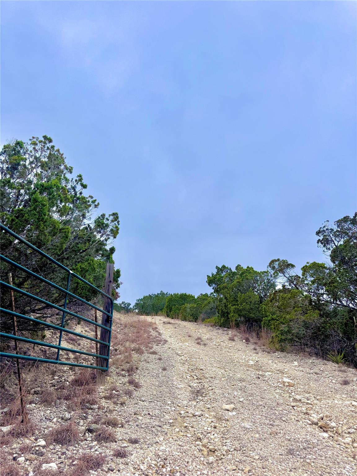 123 Fox Trail DR — photo 3