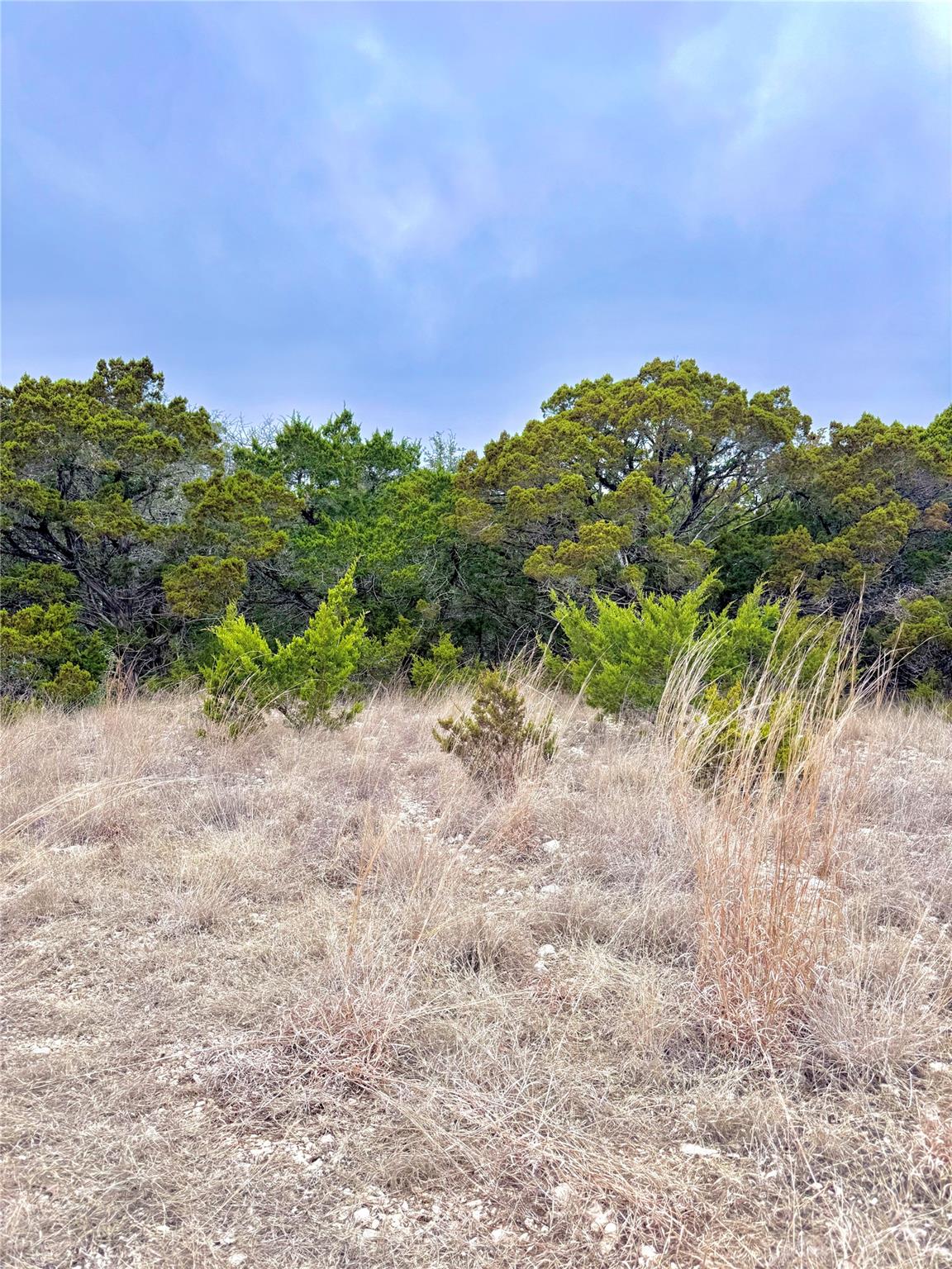 123 Fox Trail DR — photo 4