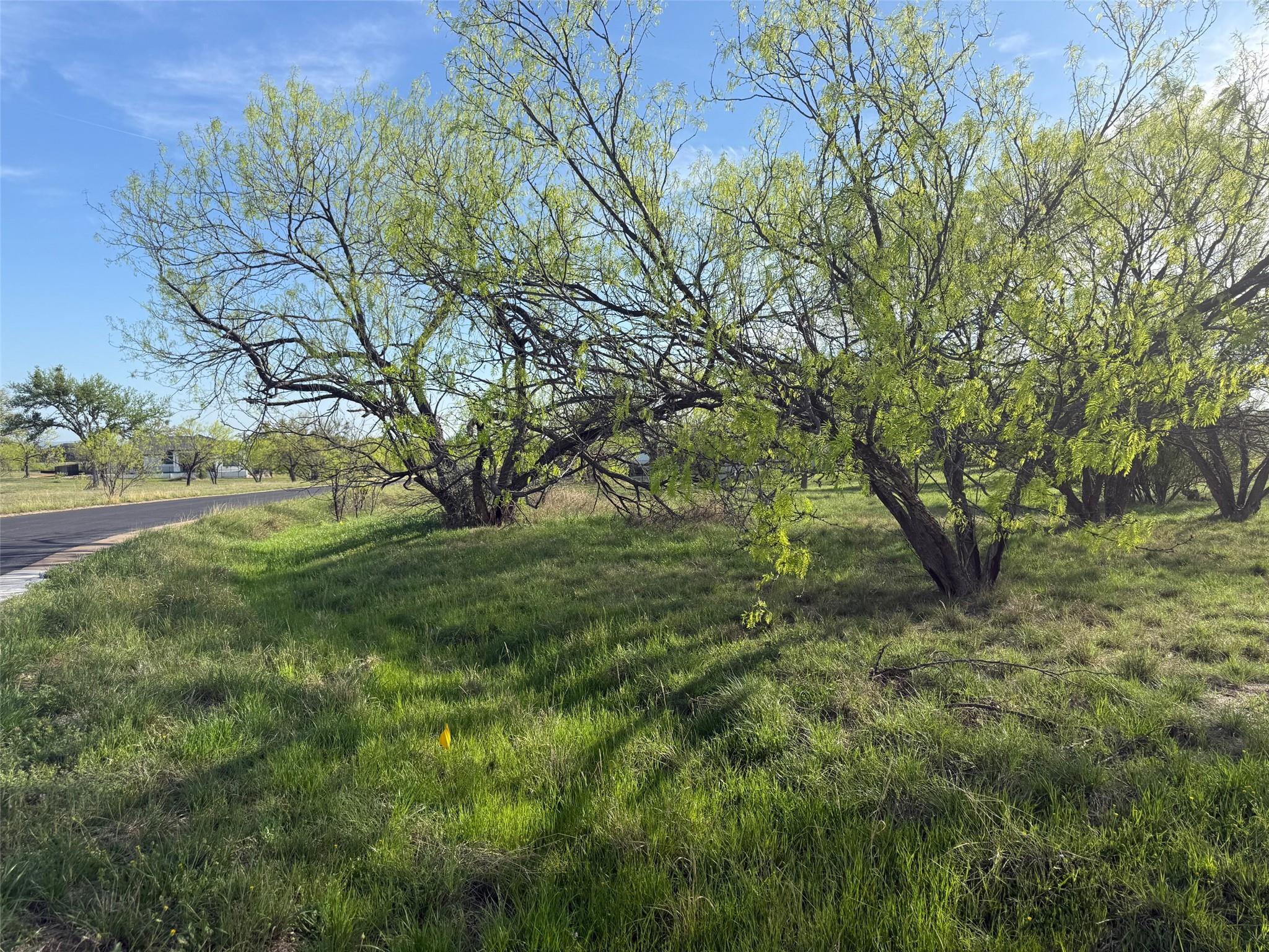Lot 1038A Fire Rock — photo 3