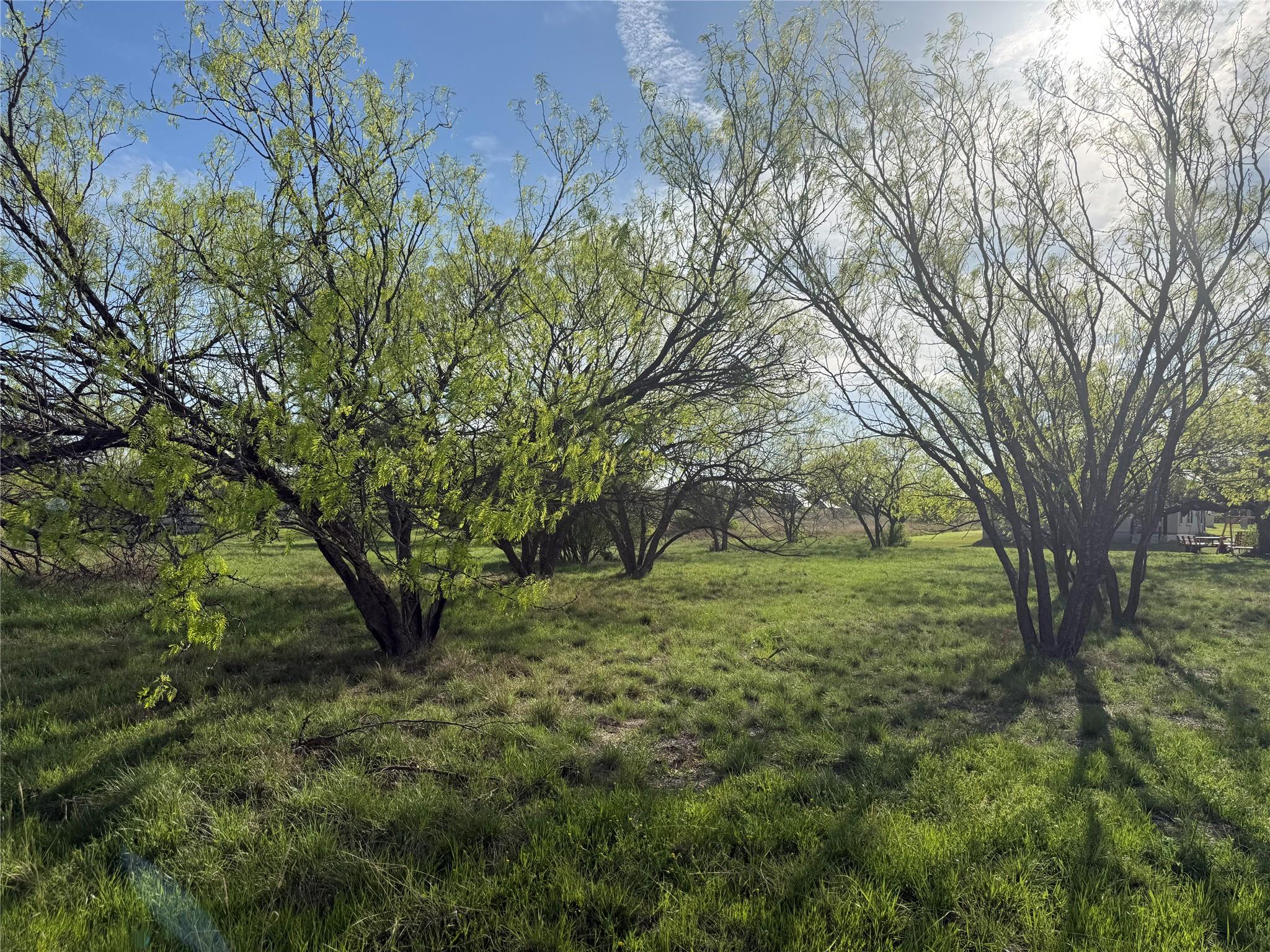 Lot 1038A Fire Rock — photo 4