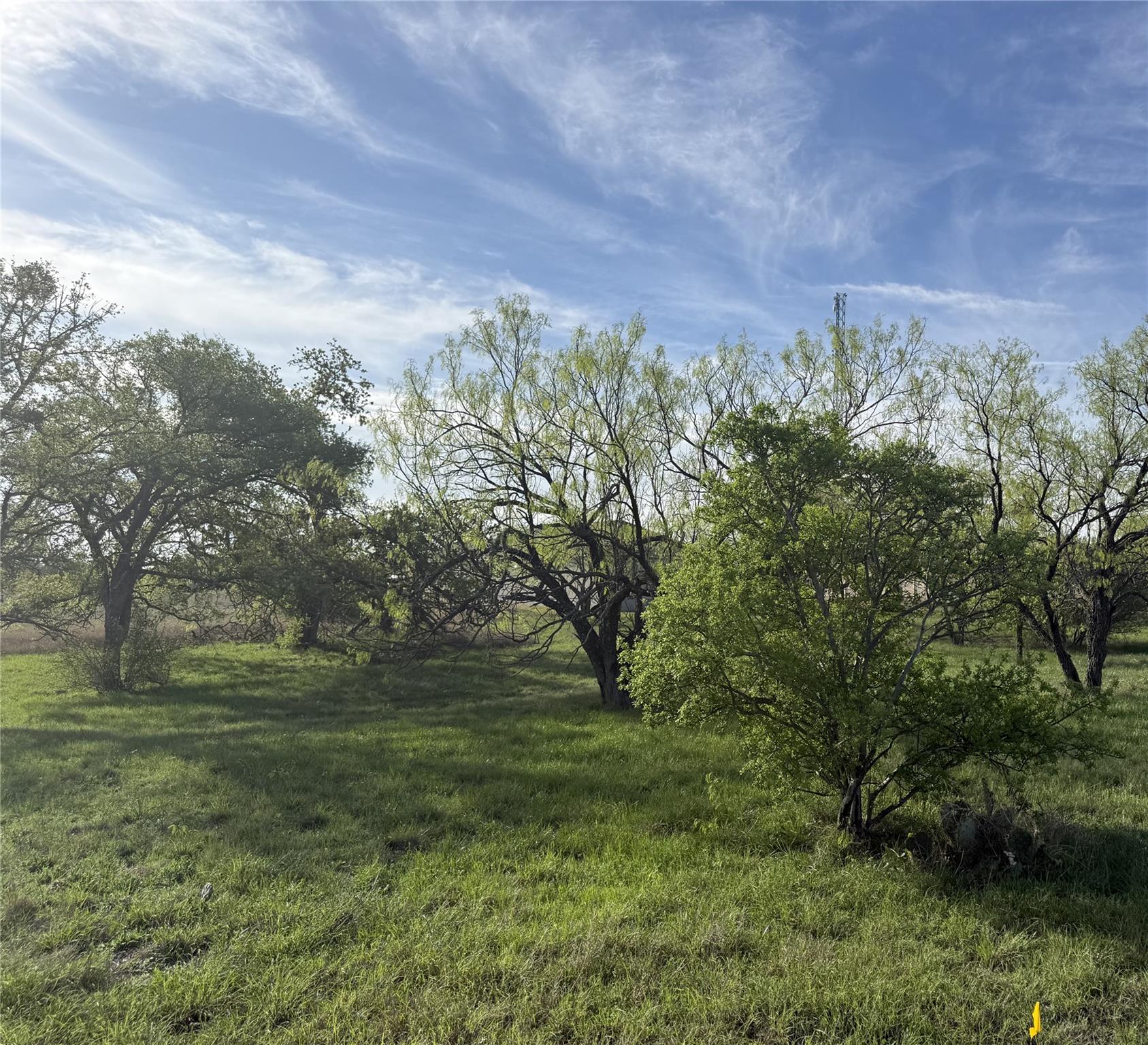 Lot 1040A Fire Rock — photo 4