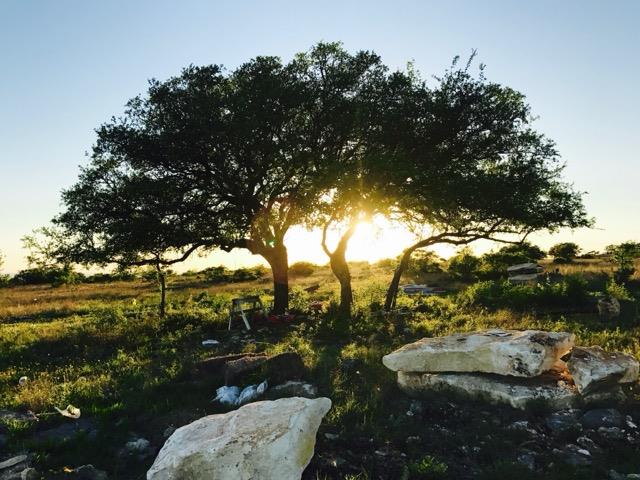 Lot 158 Sierra DR