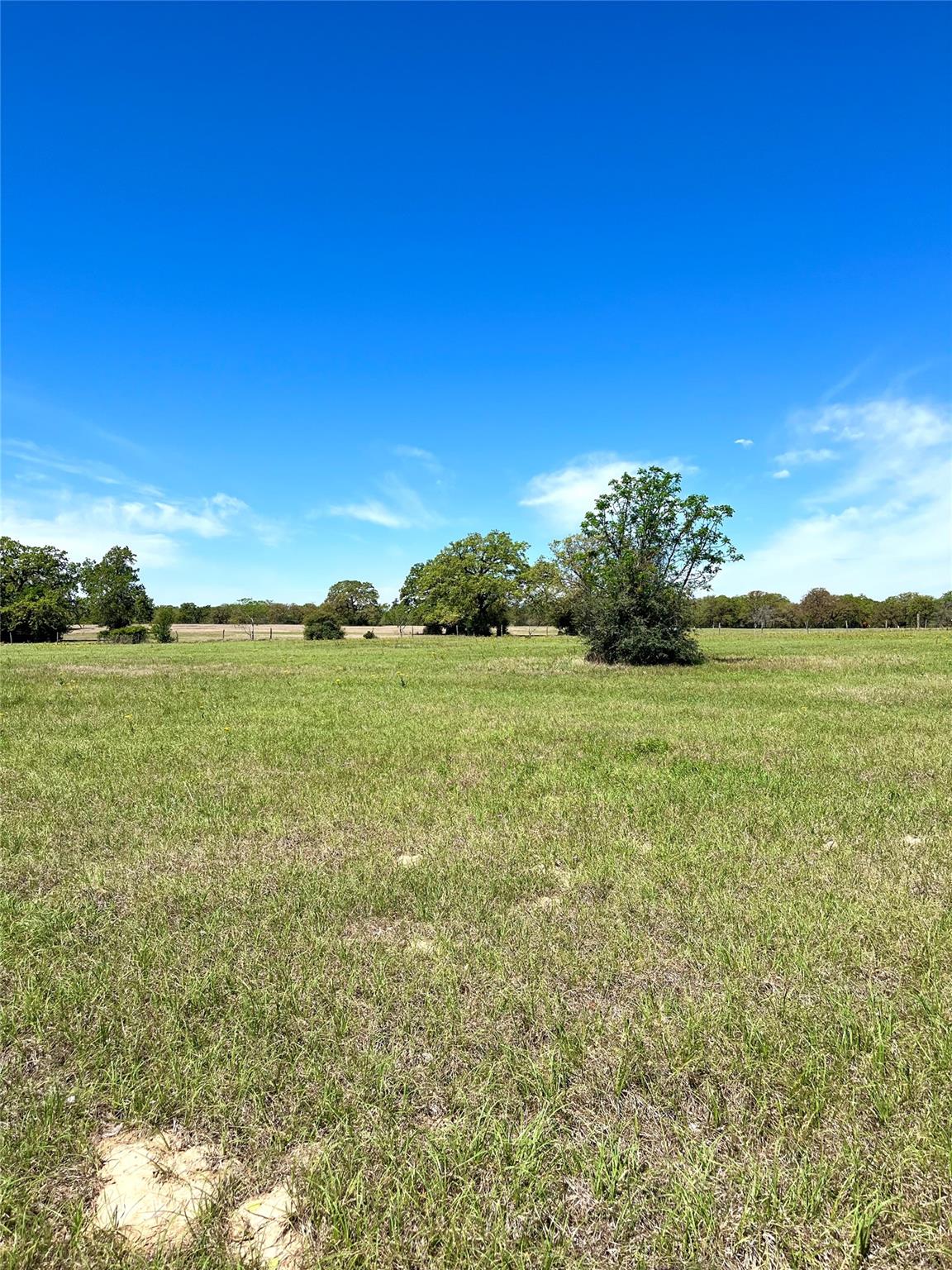 2654 County Road 329 — photo 4