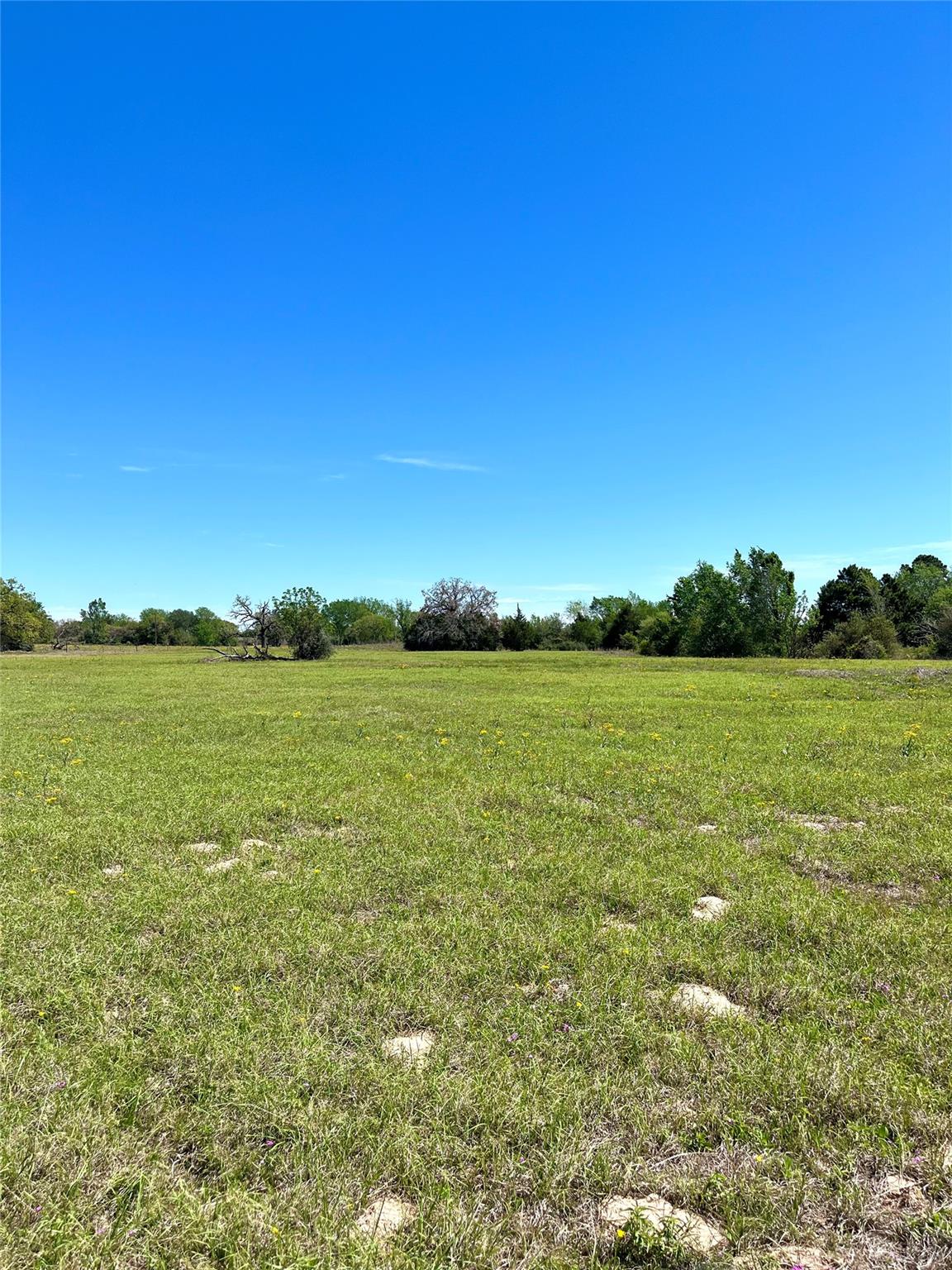 2654 County Road 329 — photo 5