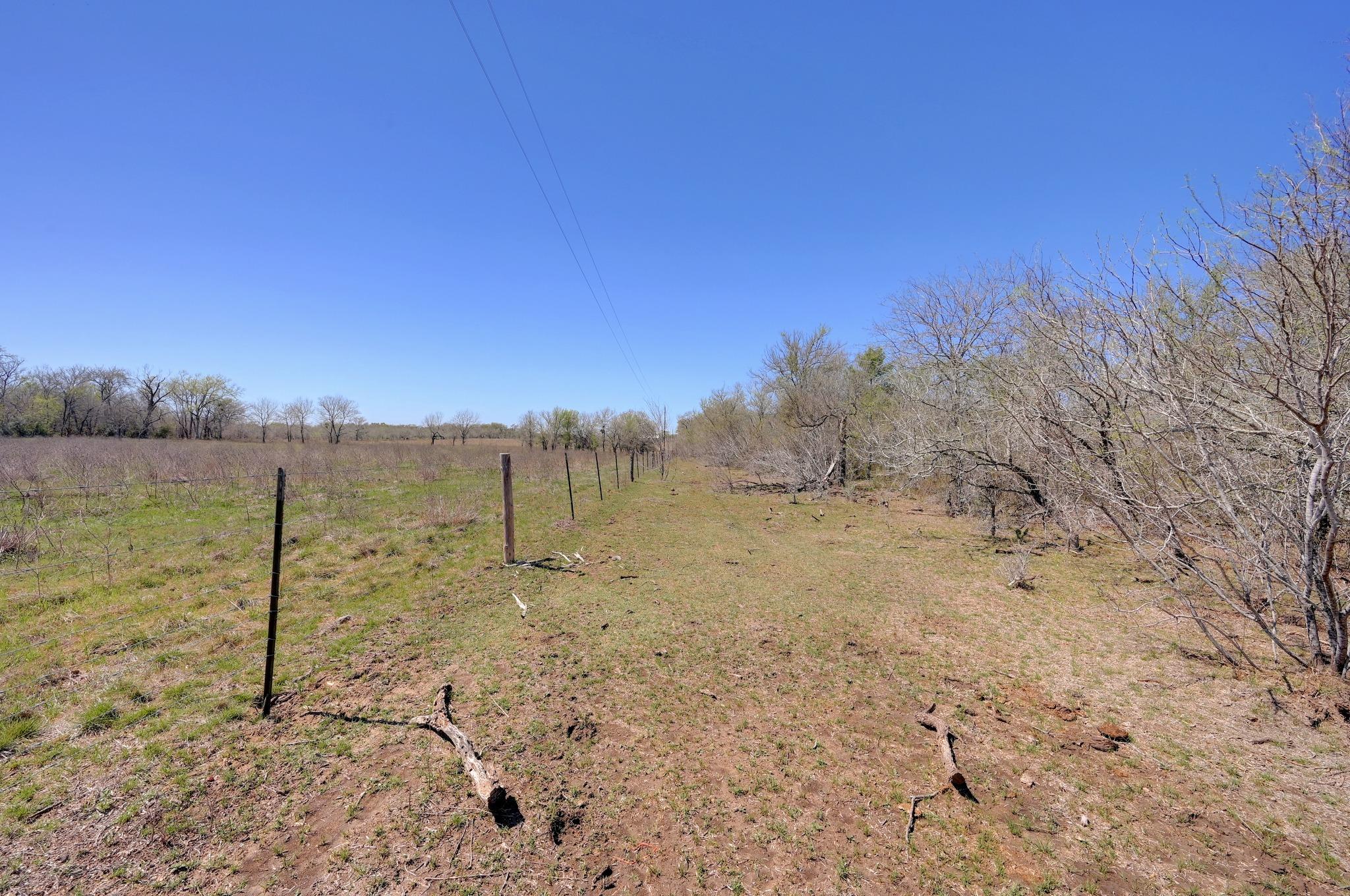 000 FM 2814 — photo 3