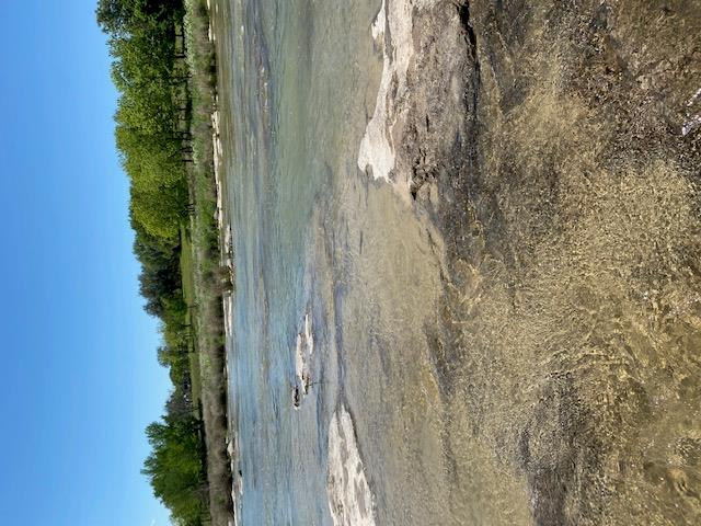 158 One River PT — photo 4