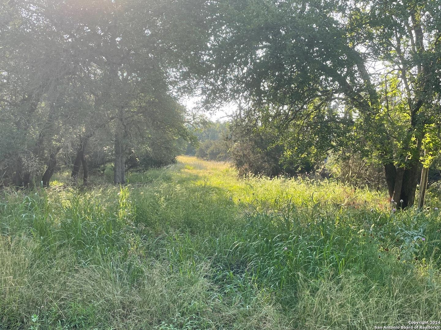 1409 LAVACA DR — photo 4
