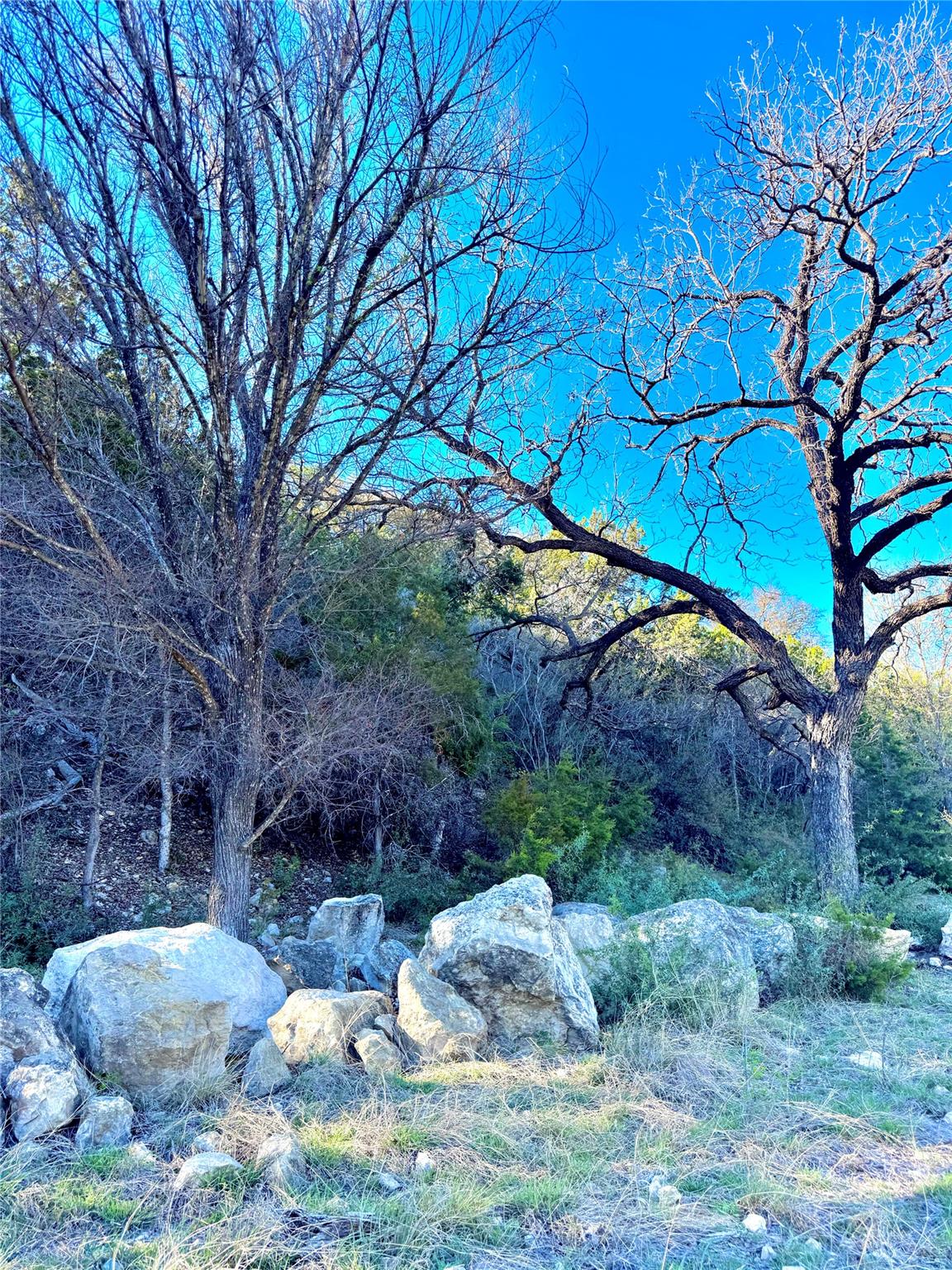 TBD Seven Springs DR — photo 4
