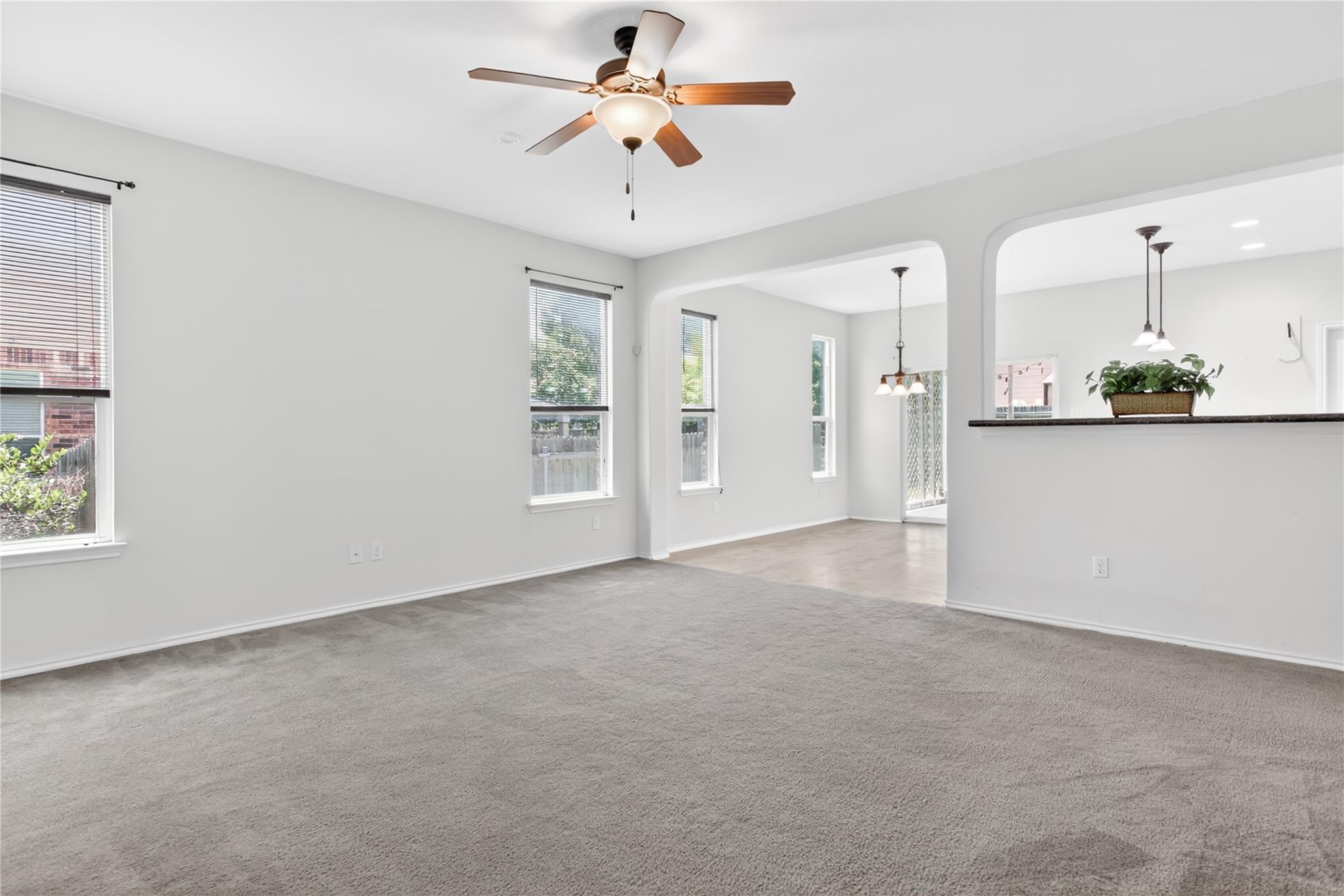 1005 Lonesome Lilly WAY — photo 4
