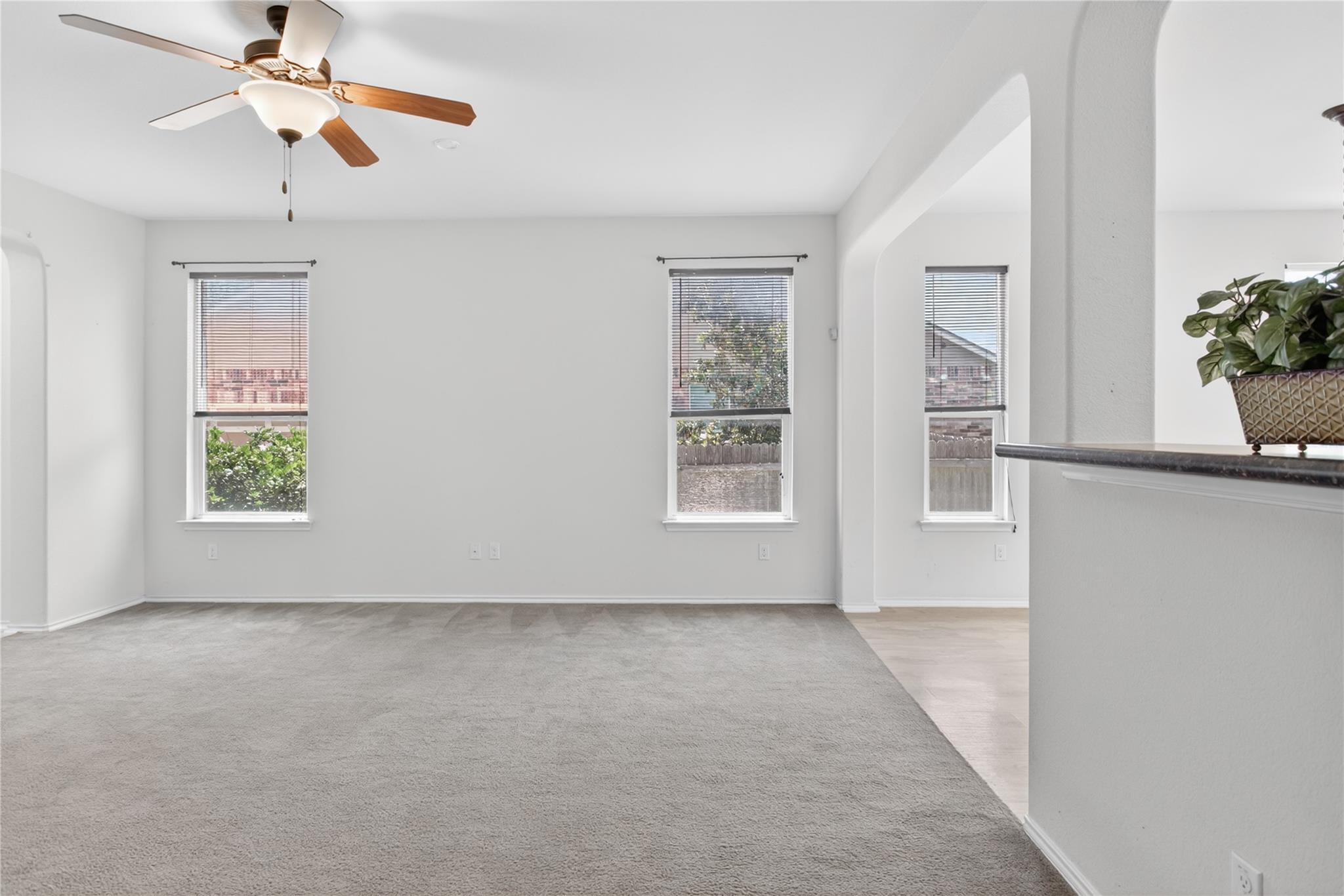 1005 Lonesome Lilly WAY — photo 5