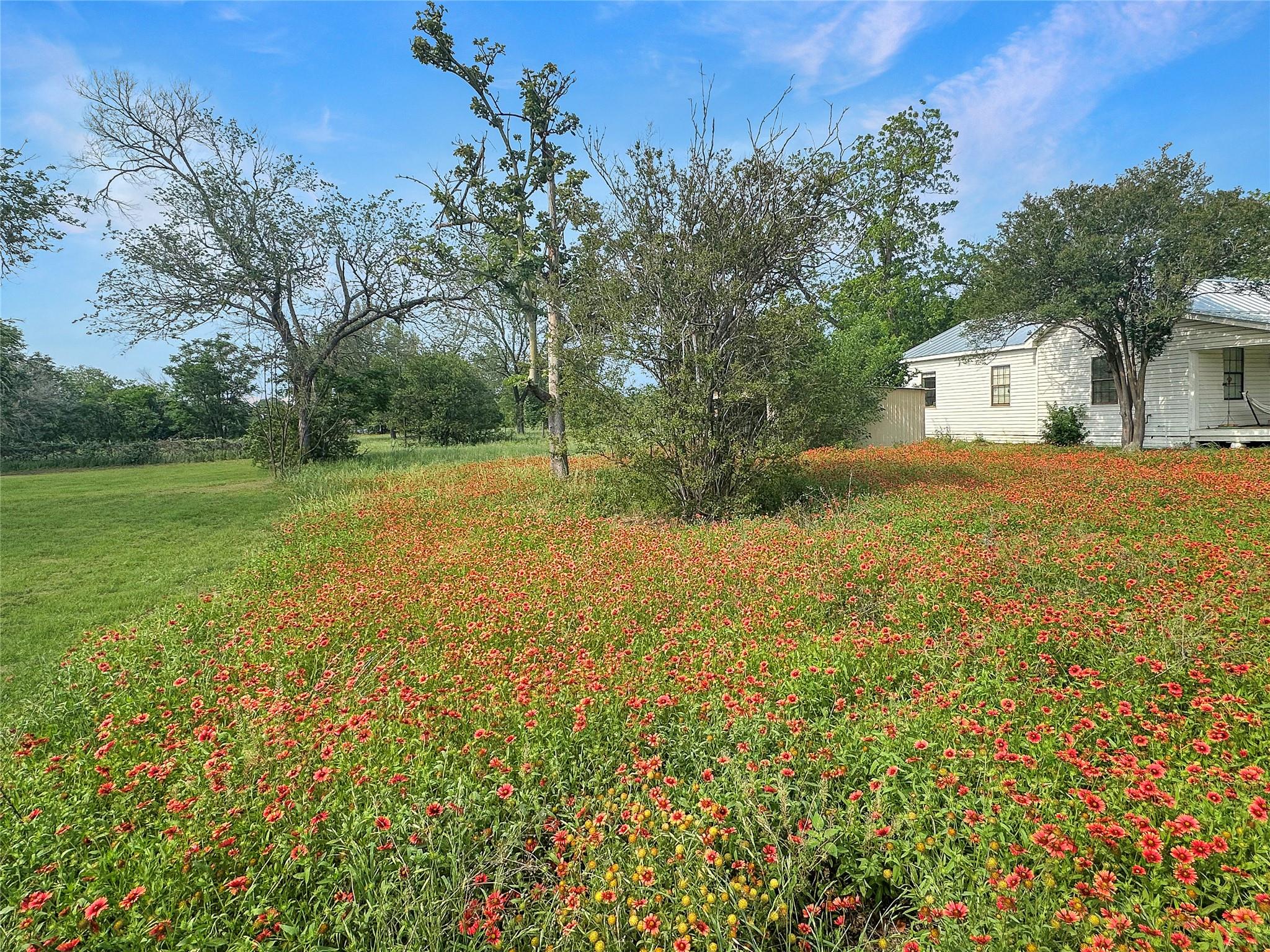 1314 Farm ST — photo 3