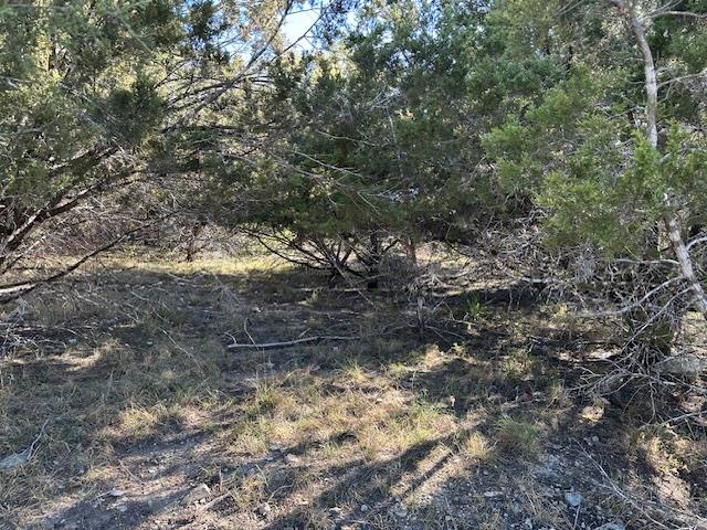 20607 High DR — photo 4
