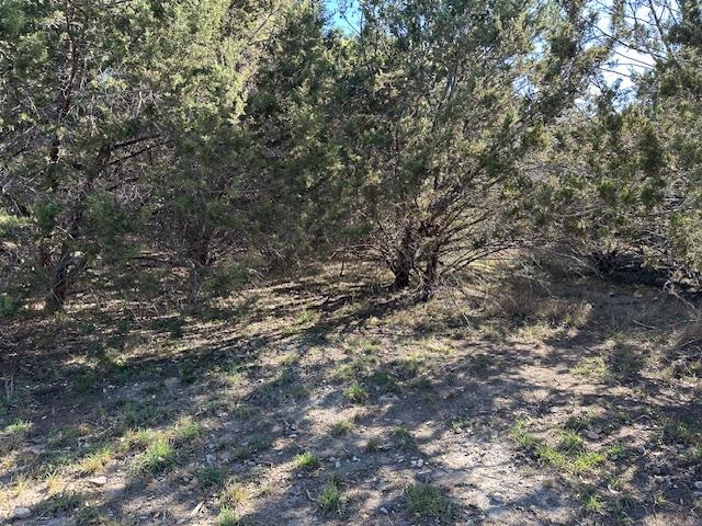 20607 High DR — photo 5