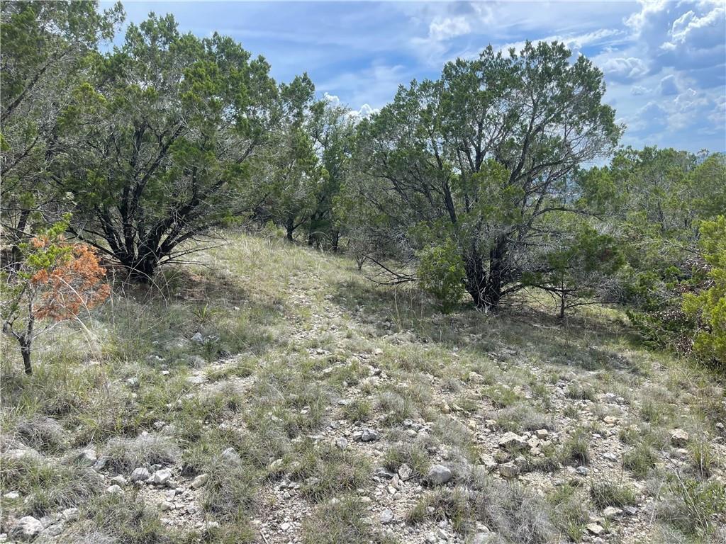 8210 Bar K Ranch RD — photo 5