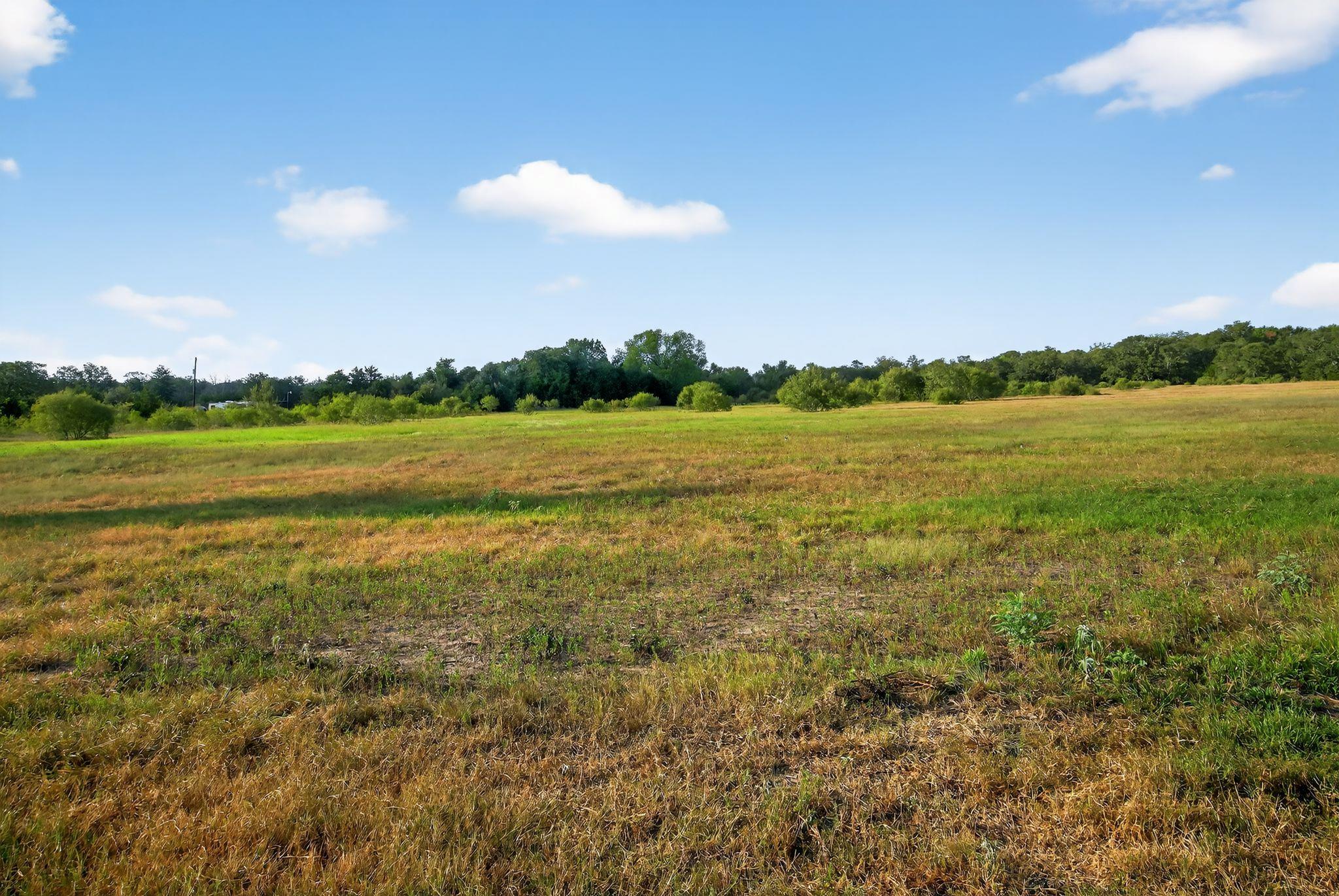 (TBD) 2959 FM 20 Highway — photo 3