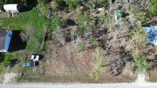 TBD Deer RUN — photo 4