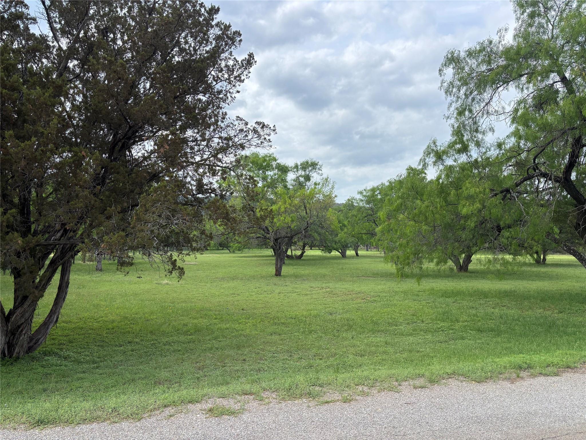 130 Primera CT — photo 4