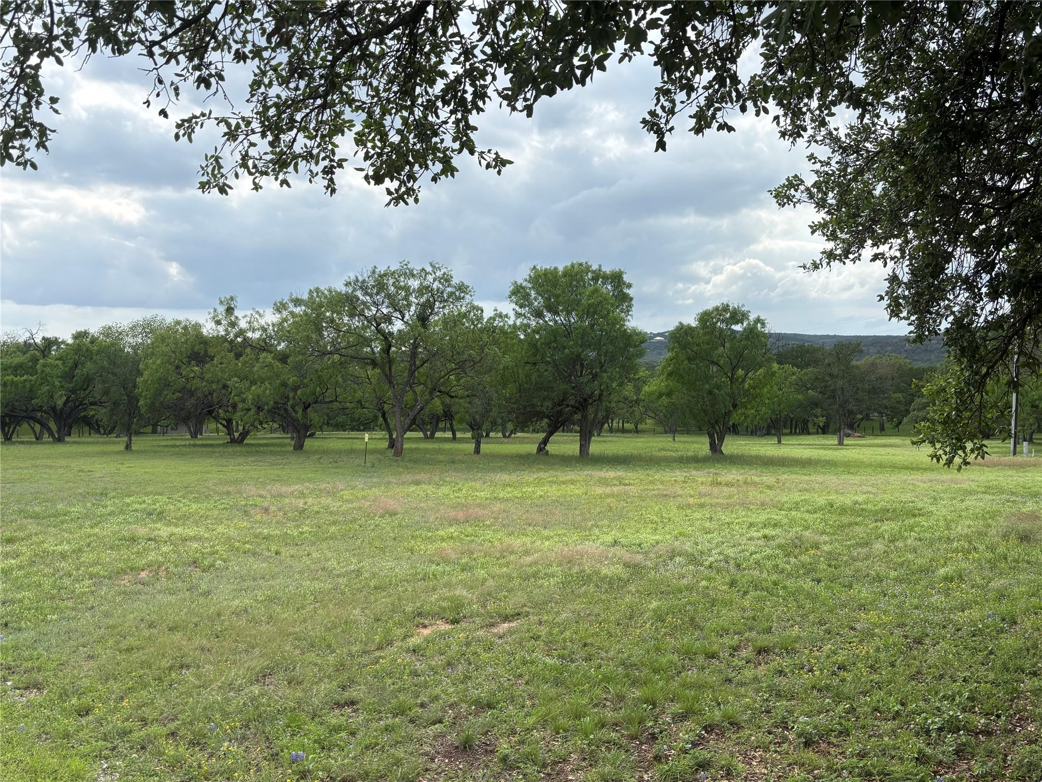 130 Primera CT — photo 5