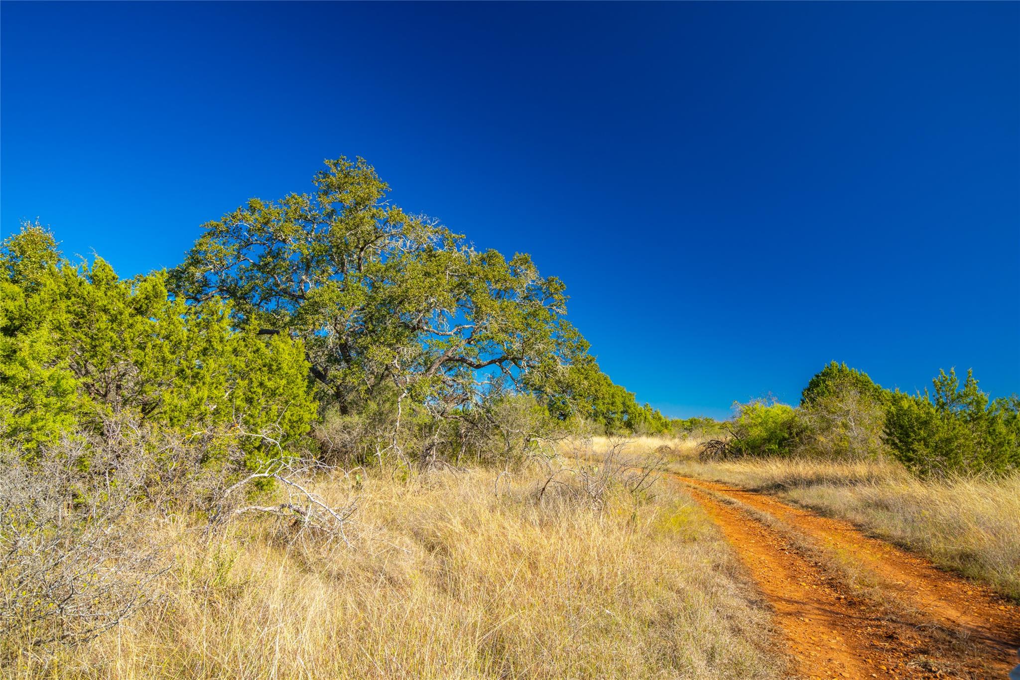 00 Quail Run DR — photo 5