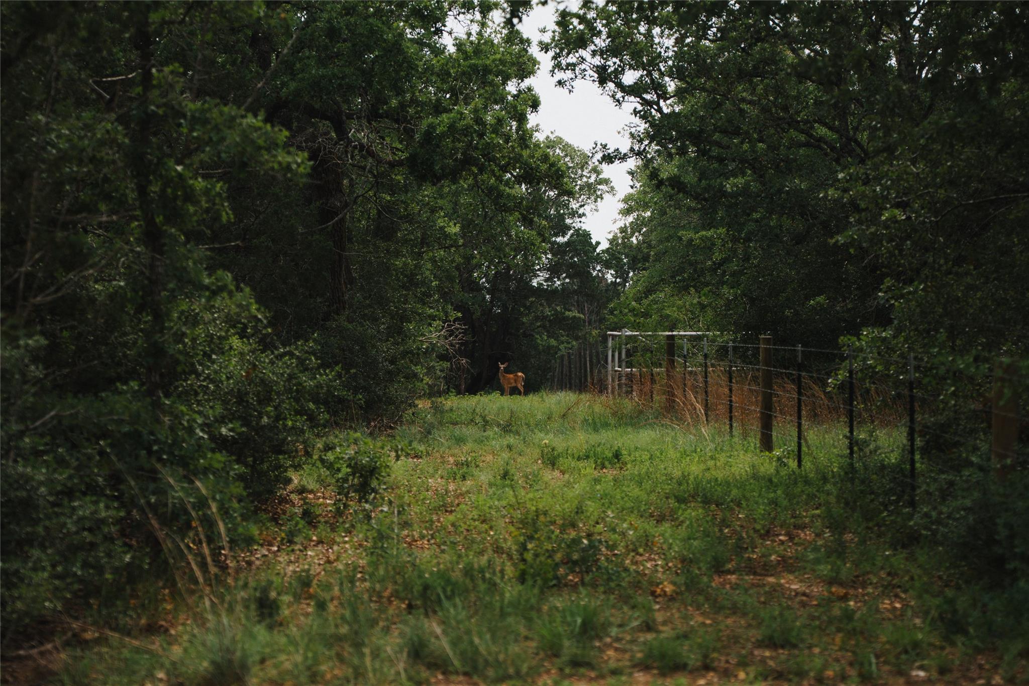 00 St Delight RD — photo 5