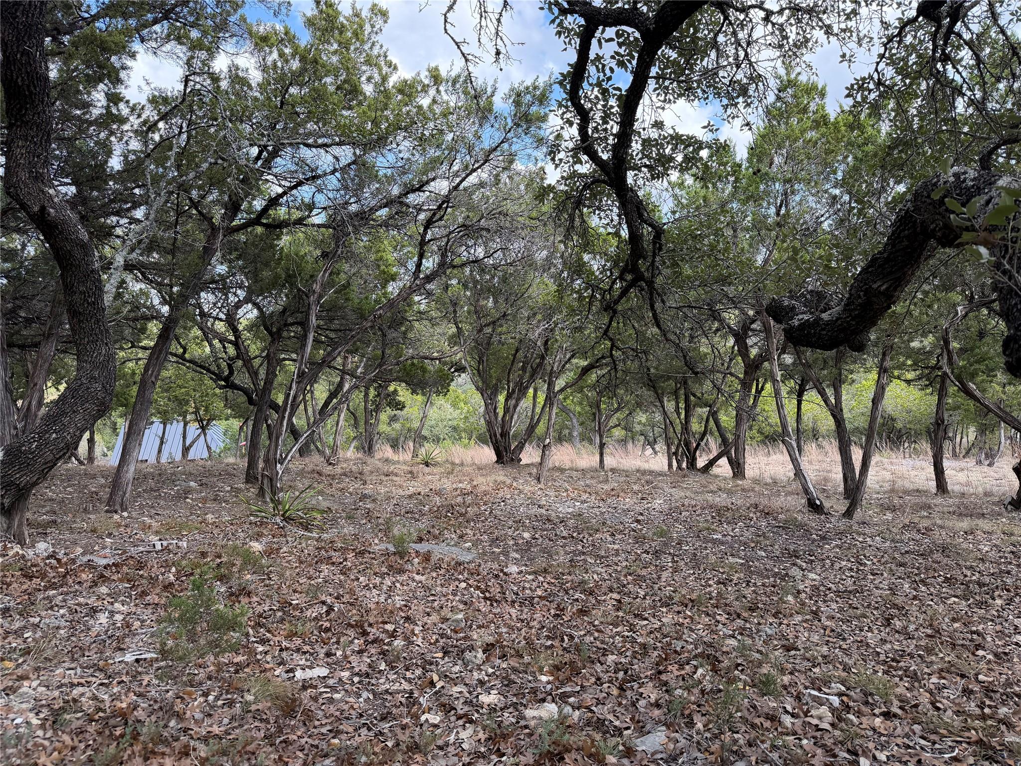TBD Rancho Grande DR — photo 4