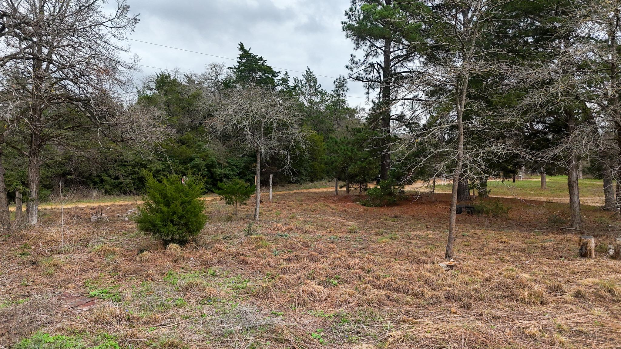 313 Dogwood DR — photo 4