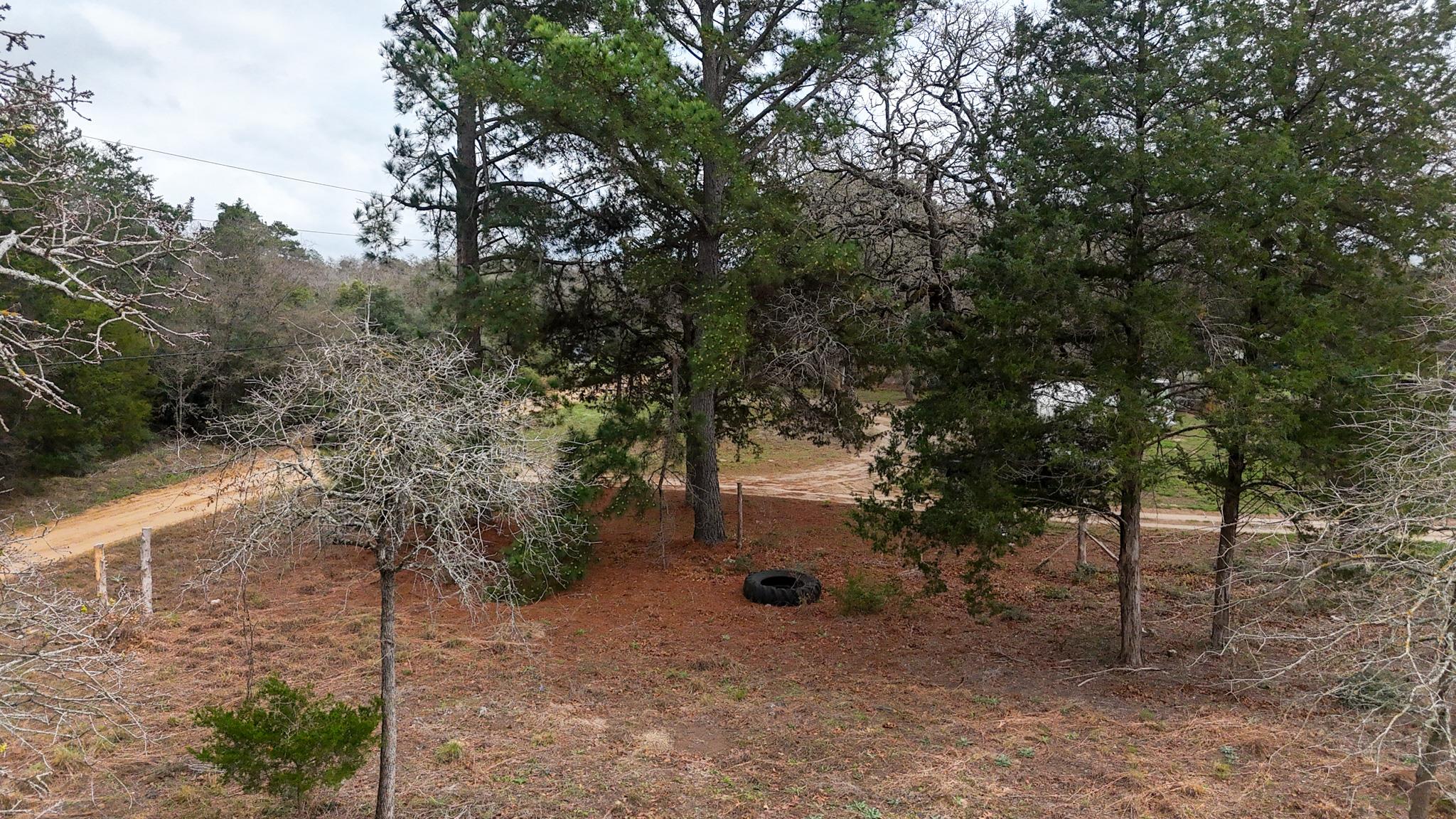 313 Dogwood DR — photo 5