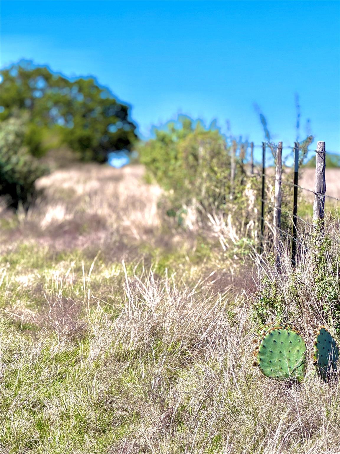 TBD Tract 19 Buckskin PATH — photo 4