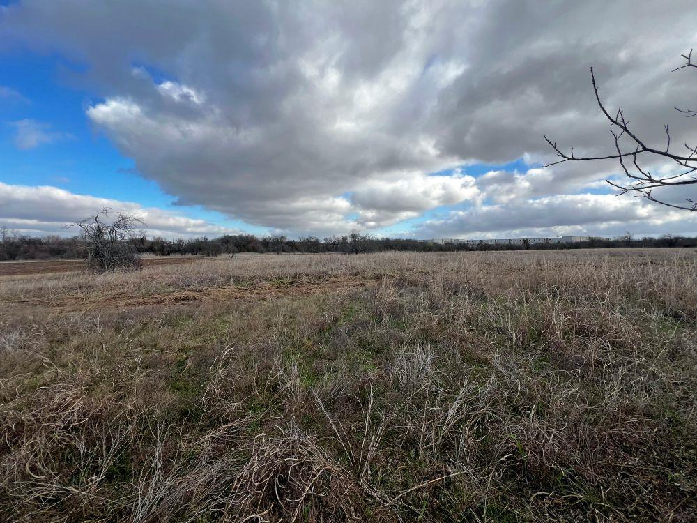 TBD County Road 196 — photo 4