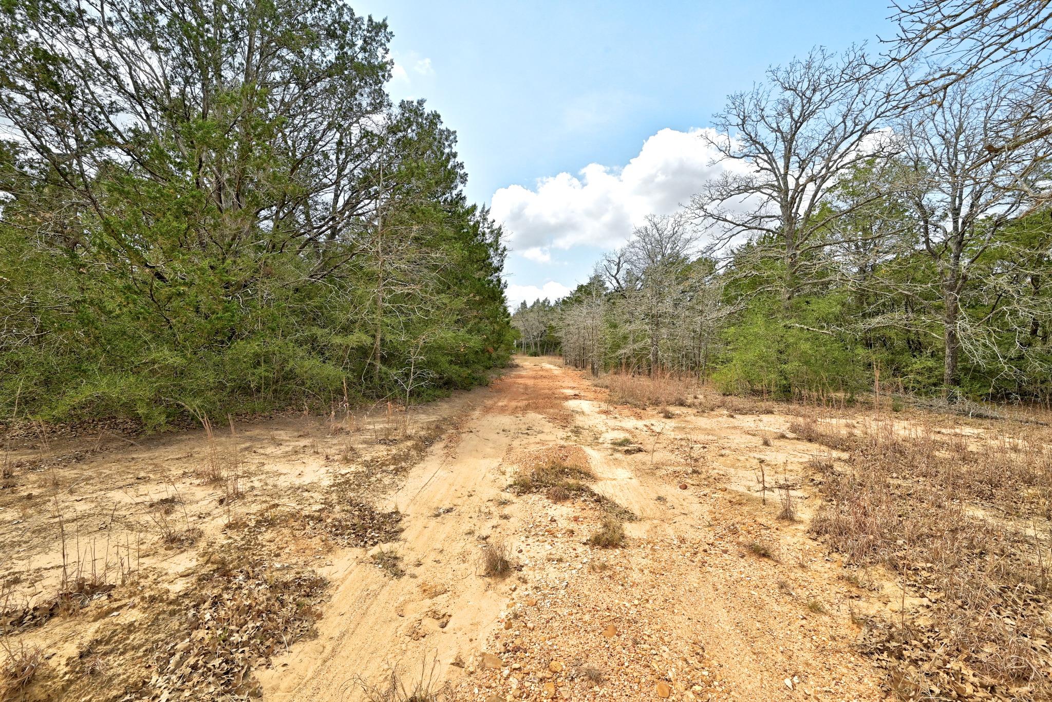 109 Crepe Myrtle RD — photo 4