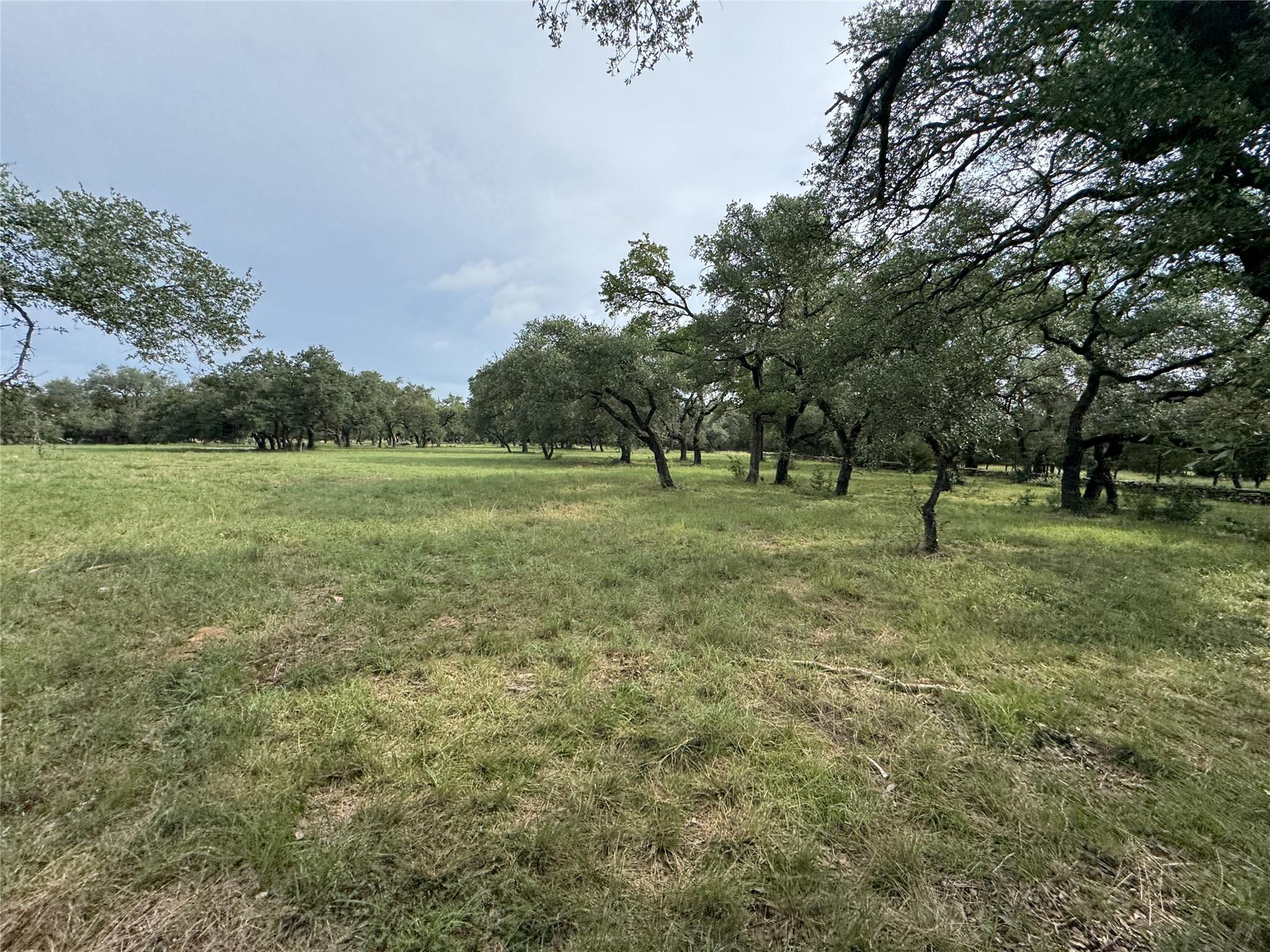 109 Estancia WAY — photo 5