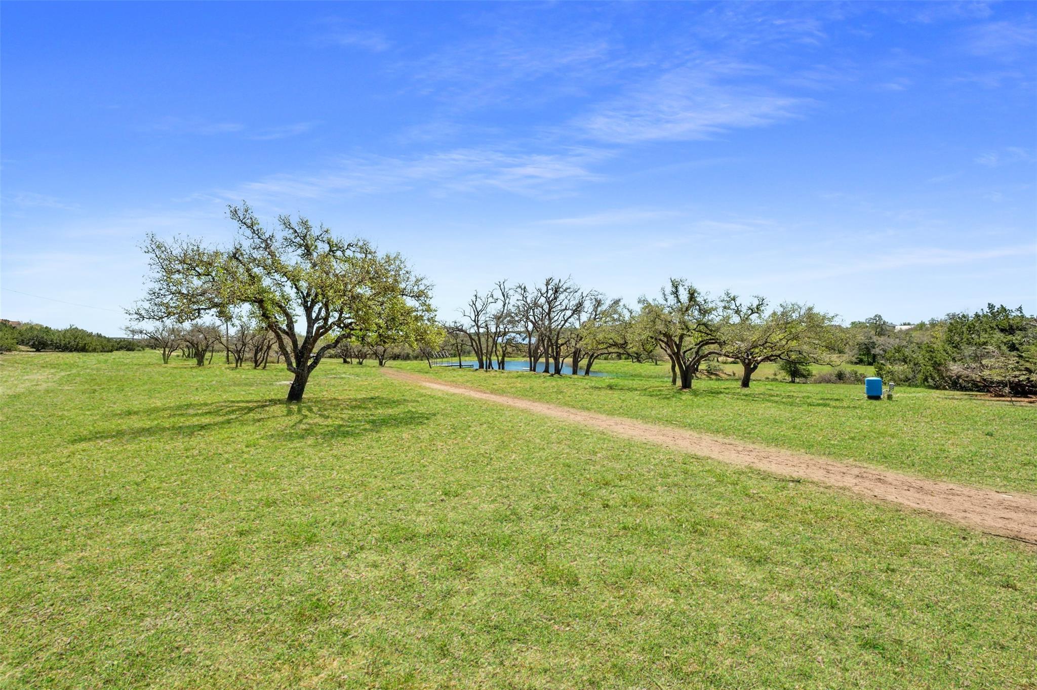 17650-C Hamilton Pool RD — photo 5